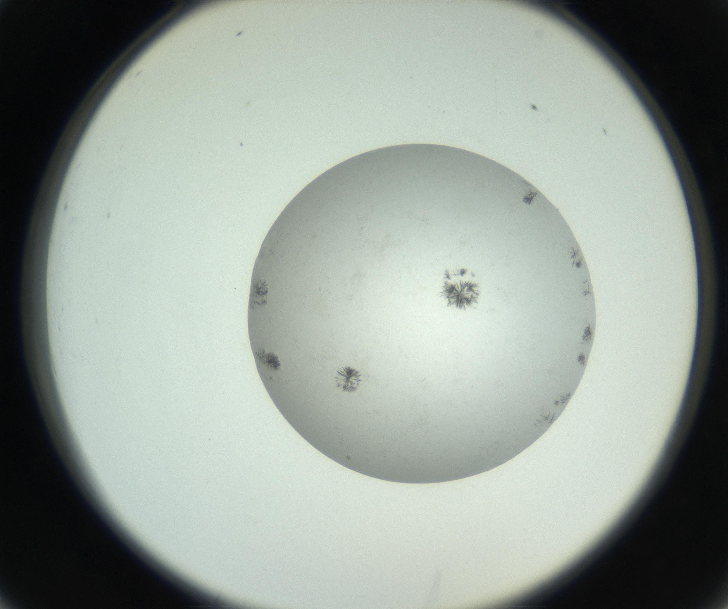 RI01_03_000_0212_Proj1_Clon1_MC_0000MC102779_002_160929_02_03_02_00_99_002_001_RAI.jpg