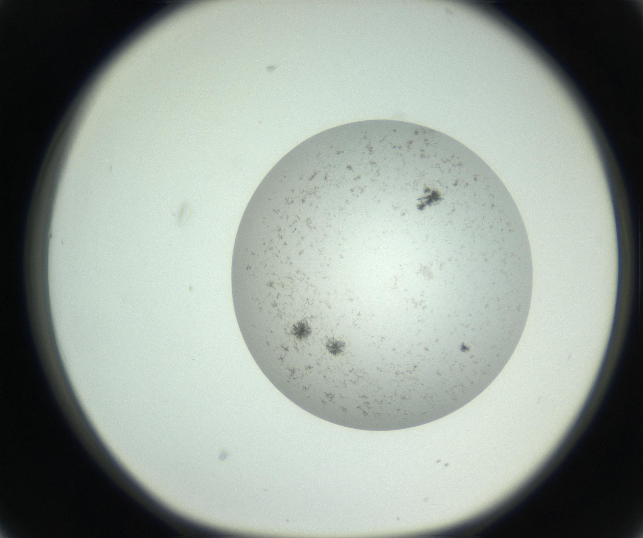 RI01_03_000_0212_Proj1_Clon1_MC_0000MC102779_002_160929_02_04_01_00_99_002_001_RAI.jpg