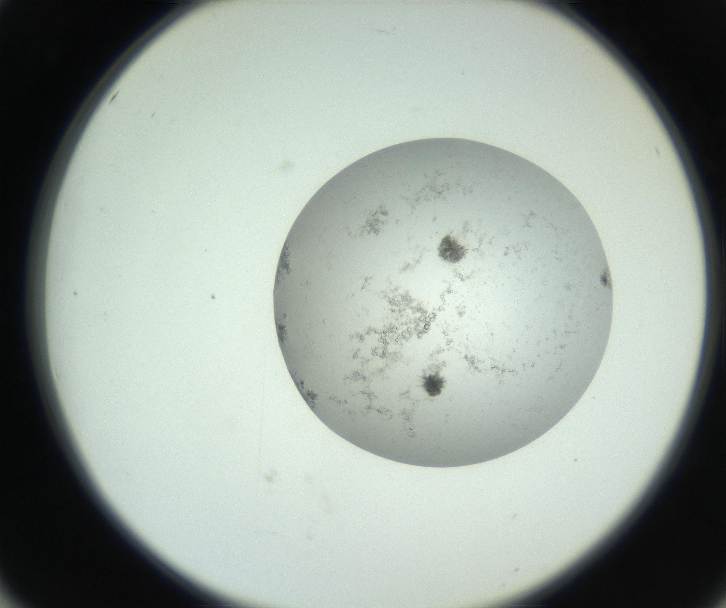 RI01_03_000_0212_Proj1_Clon1_MC_0000MC102779_002_160929_02_05_02_00_99_002_001_RAI.jpg