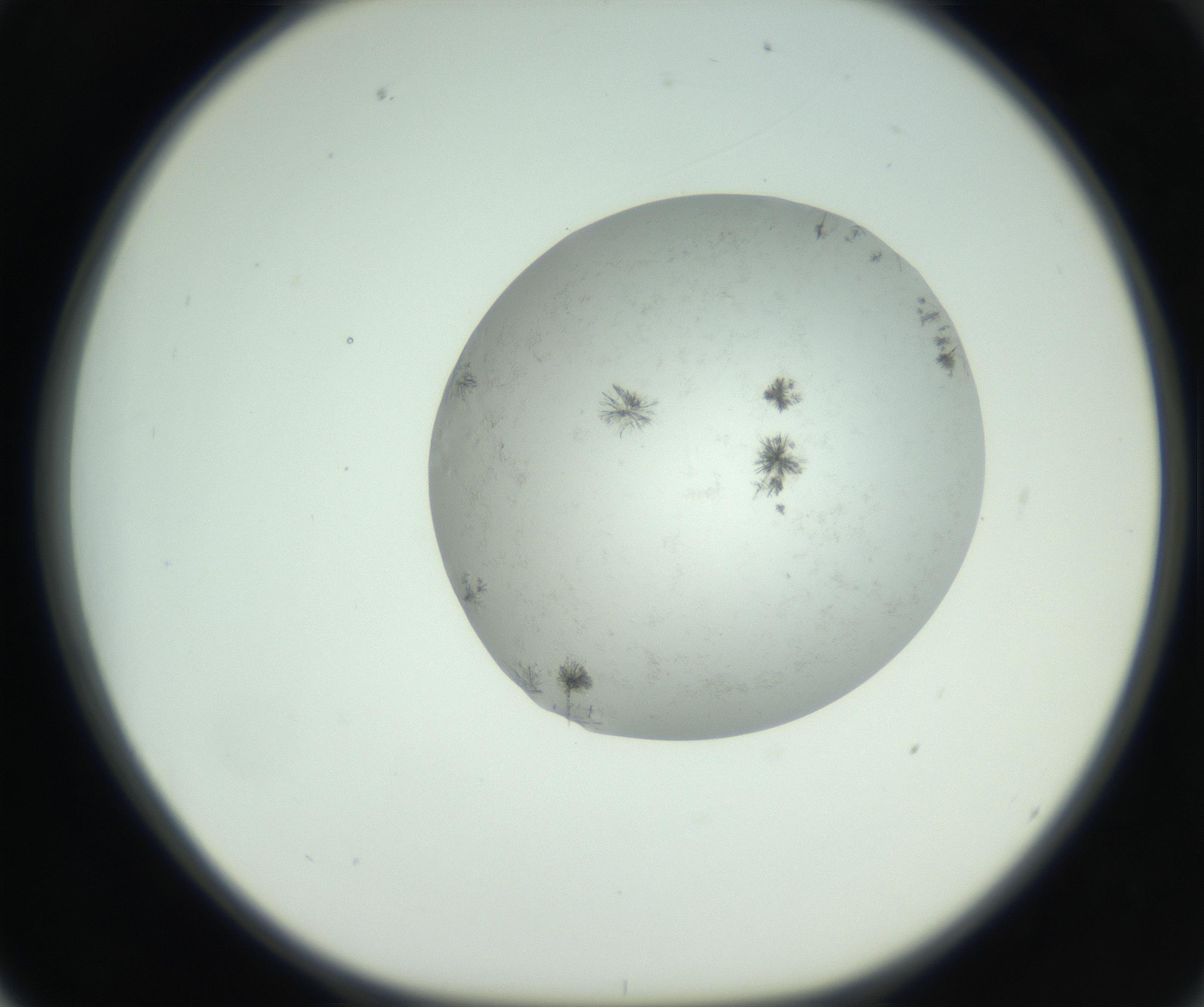 RI01_03_000_0212_Proj1_Clon1_MC_0000MC102779_002_160929_02_06_01_00_99_002_001_RAI.jpg