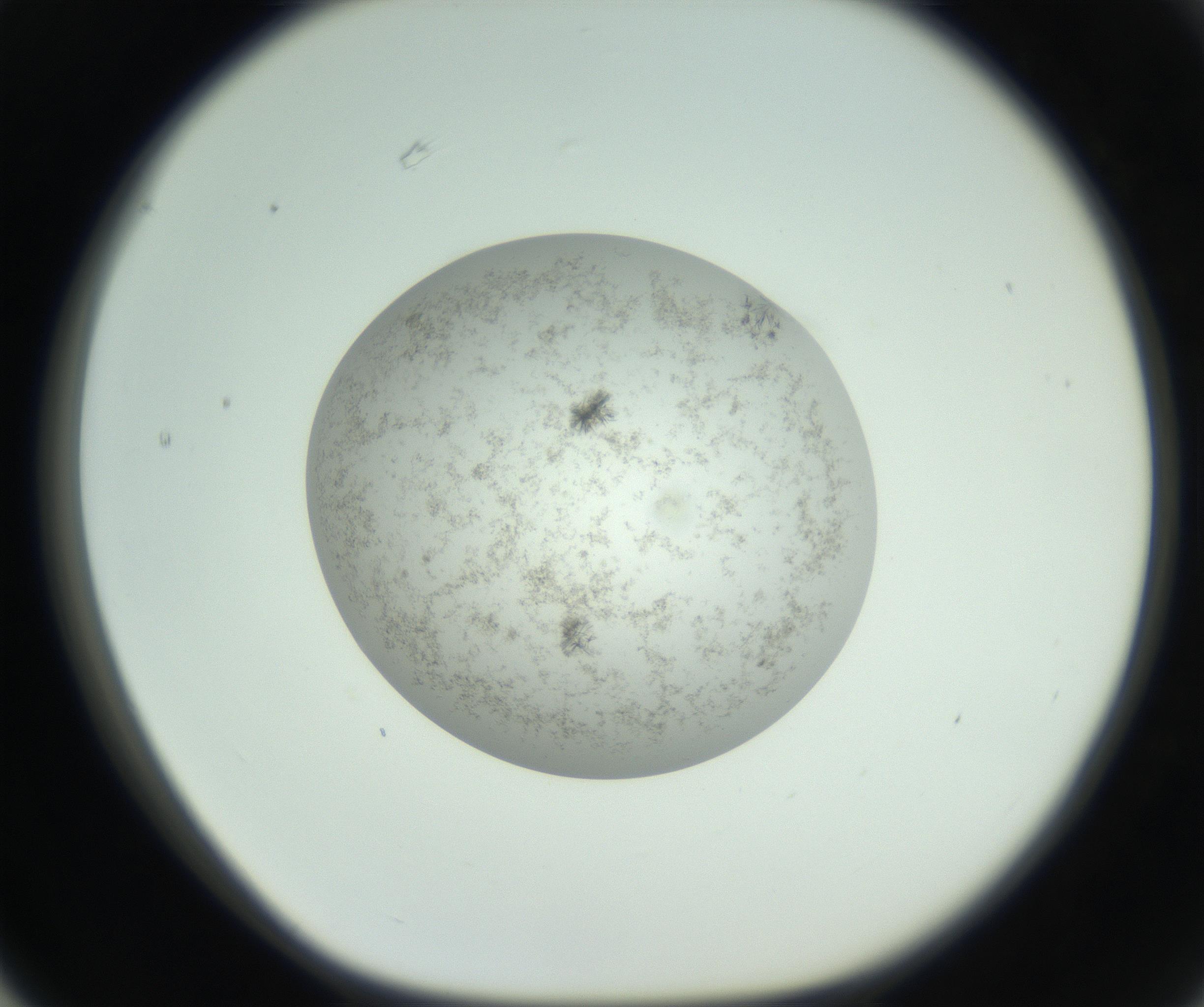 RI01_03_000_0212_Proj1_Clon1_MC_0000MC102779_002_160929_03_06_01_00_99_002_001_RAI.jpg
