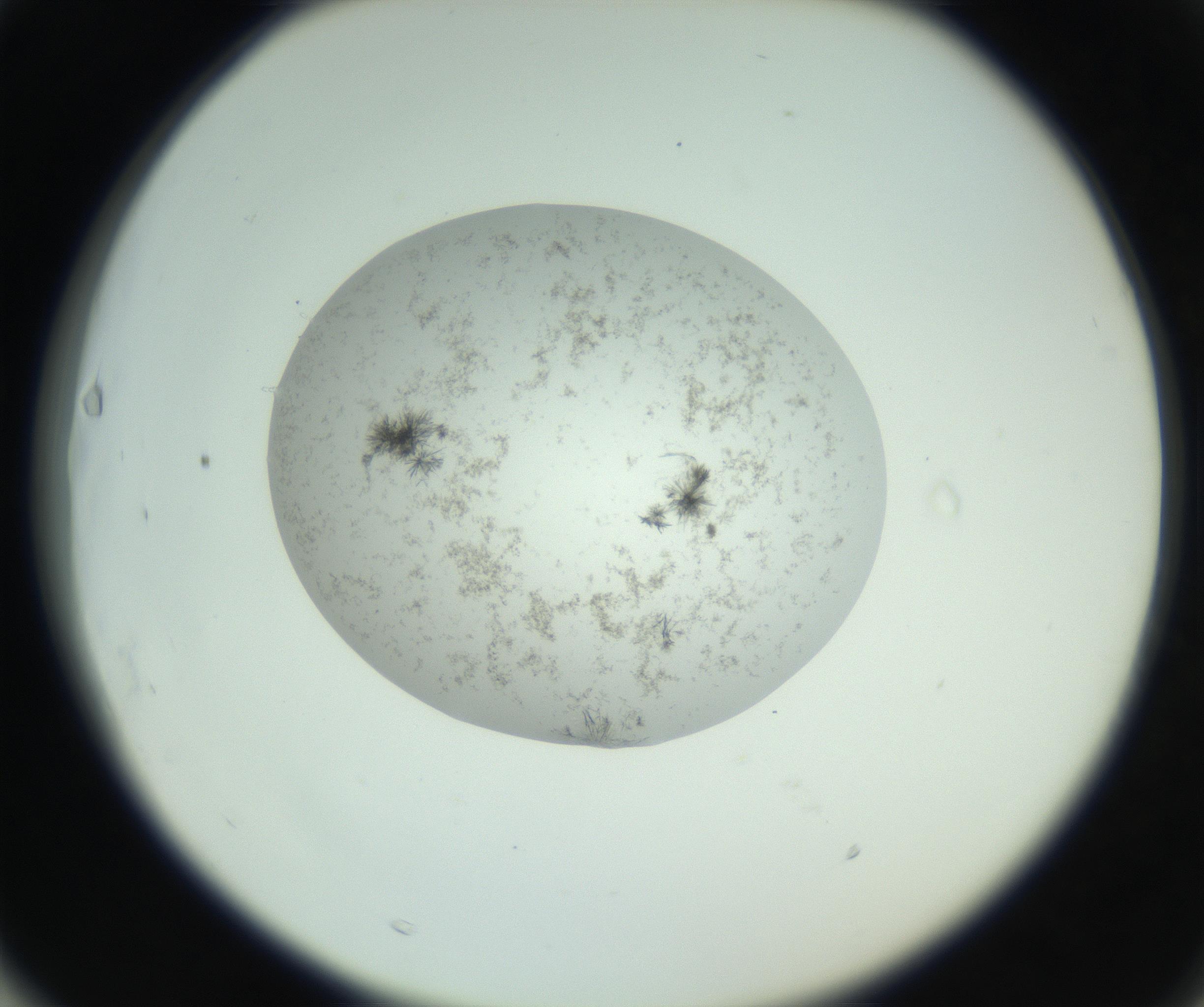 RI01_03_000_0212_Proj1_Clon1_MC_0000MC102779_002_160929_03_06_02_00_99_002_001_RAI.jpg