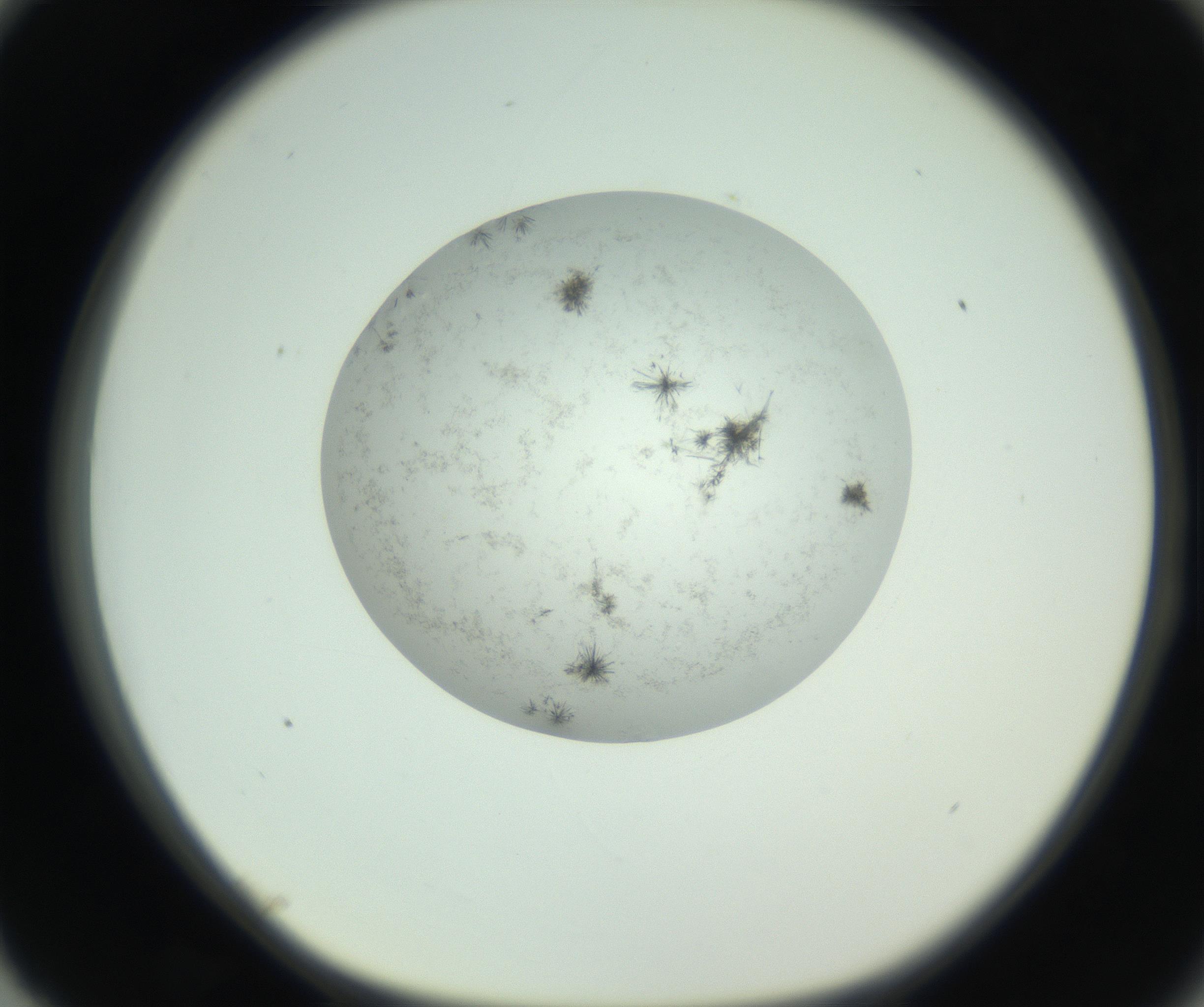 RI01_03_000_0212_Proj1_Clon1_MC_0000MC102779_002_160929_03_08_01_00_99_002_001_RAI.jpg