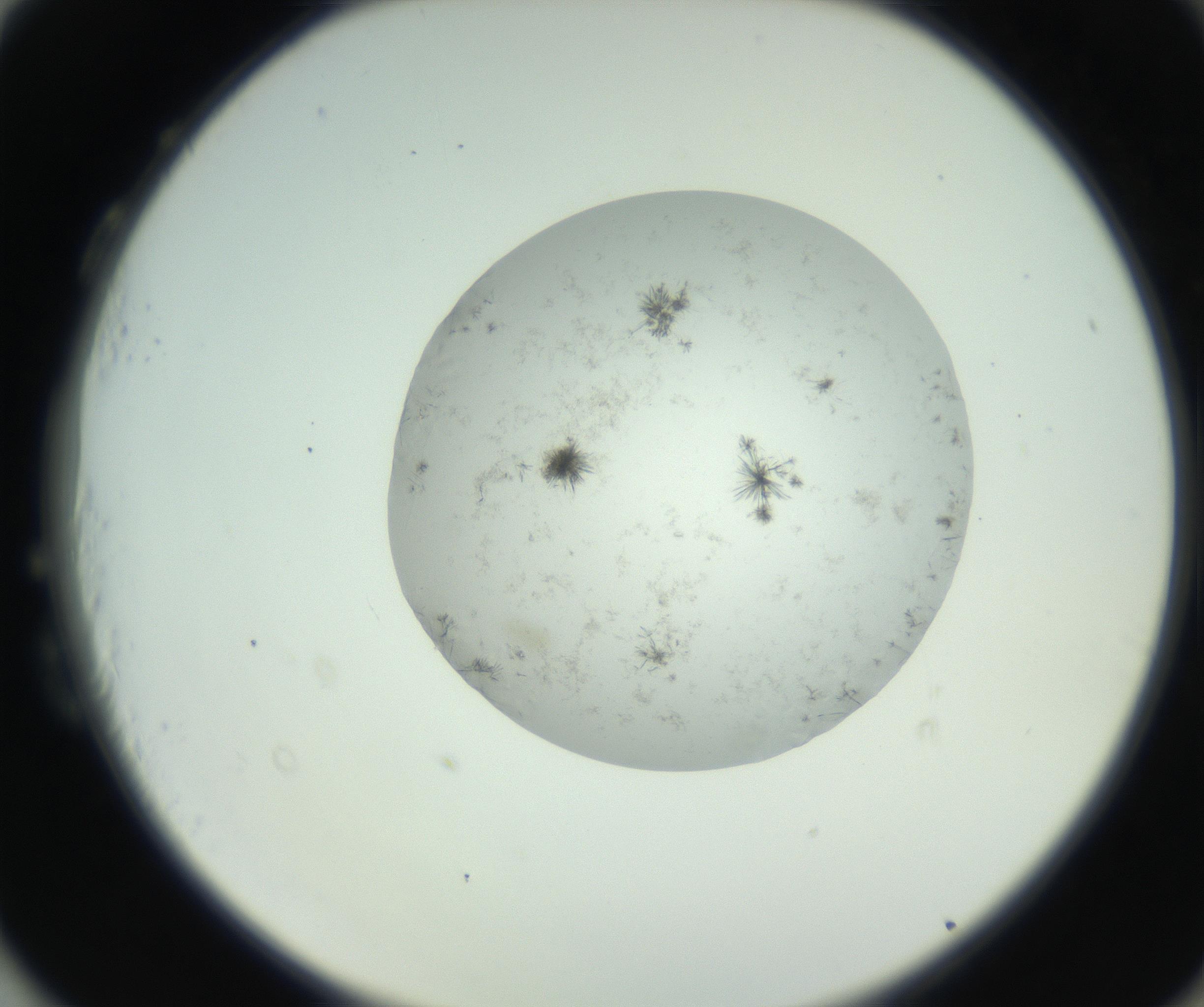 RI01_03_000_0212_Proj1_Clon1_MC_0000MC102779_002_160929_03_08_02_00_99_002_001_RAI.jpg
