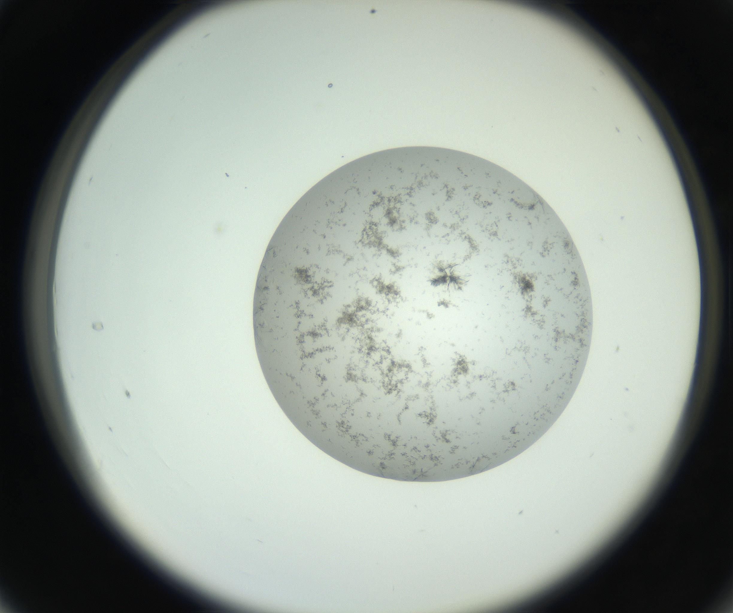 RI01_03_000_0212_Proj1_Clon1_MC_0000MC102779_002_160929_04_03_02_00_99_002_001_RAI.jpg