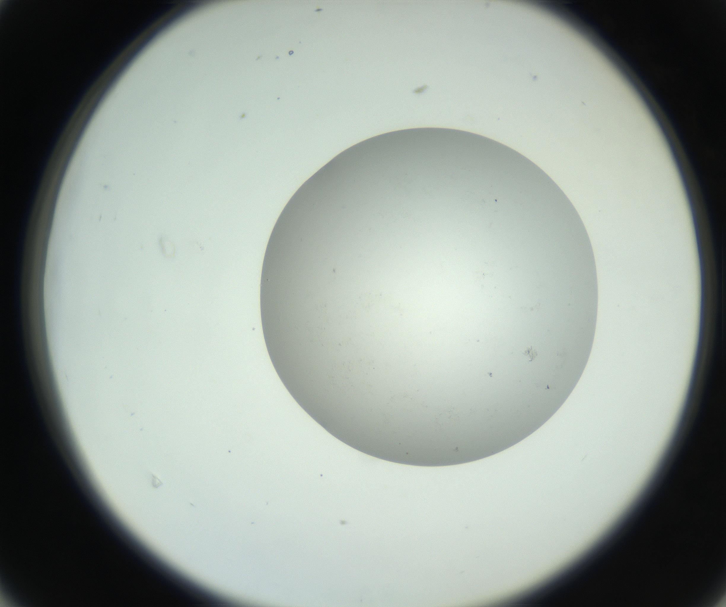 RI01_03_000_0212_Proj1_Clon1_MC_0000MC102779_002_160929_04_04_02_00_99_002_001_RAI.jpg