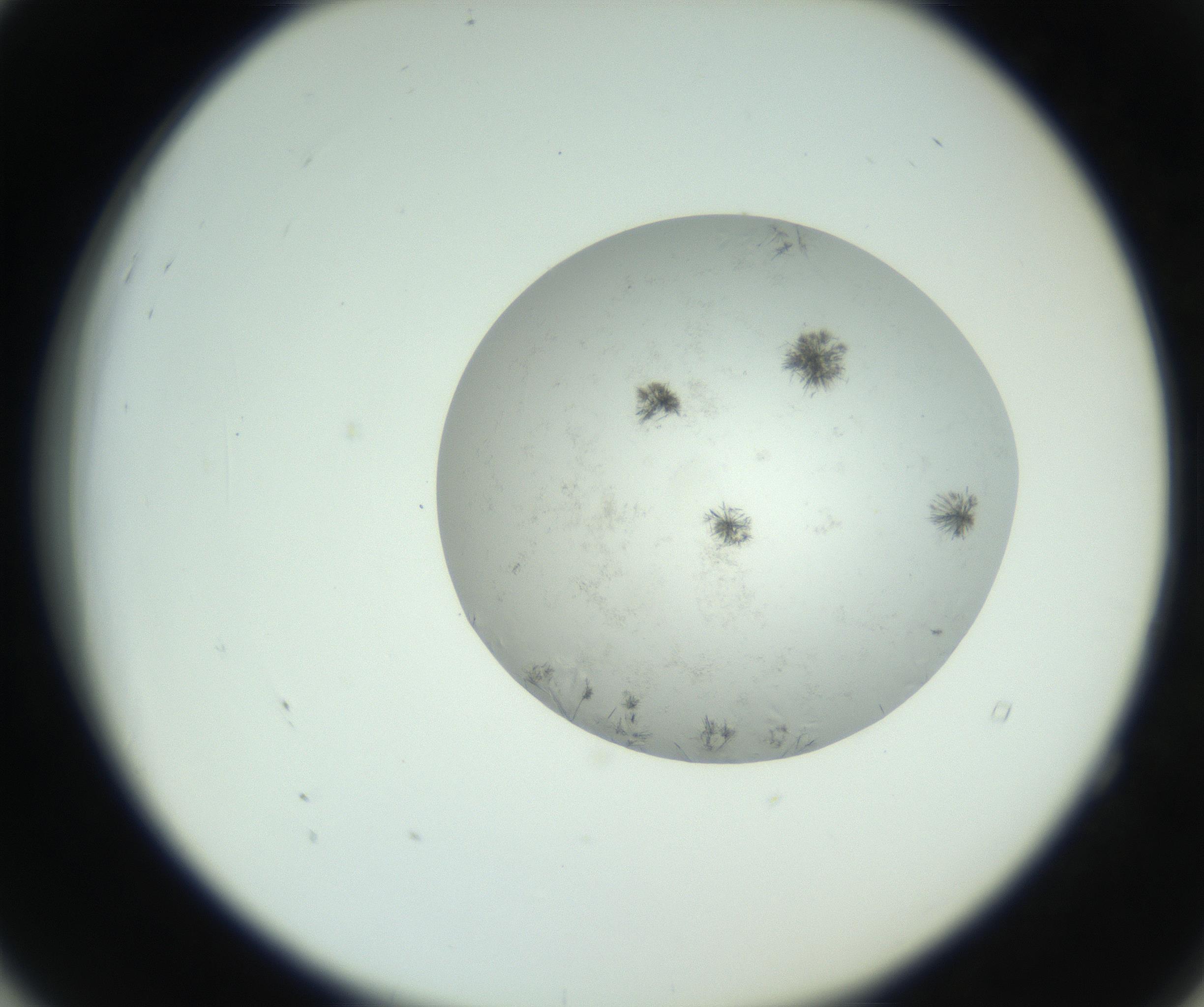 RI01_03_000_0212_Proj1_Clon1_MC_0000MC102779_002_160929_04_05_02_00_99_002_001_RAI.jpg