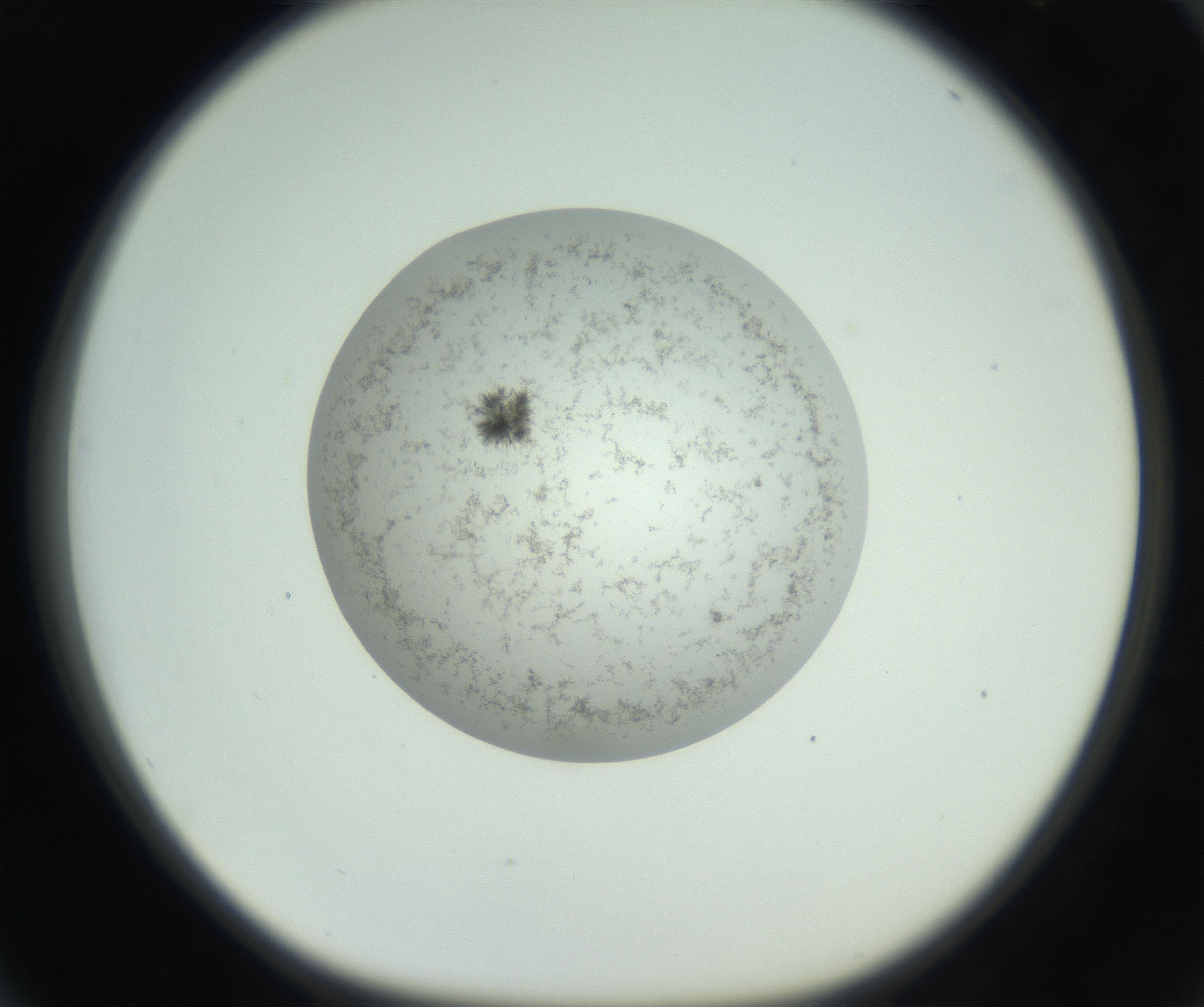RI01_03_000_0212_Proj1_Clon1_MC_0000MC102779_002_160929_04_06_01_00_99_002_001_RAI.jpg
