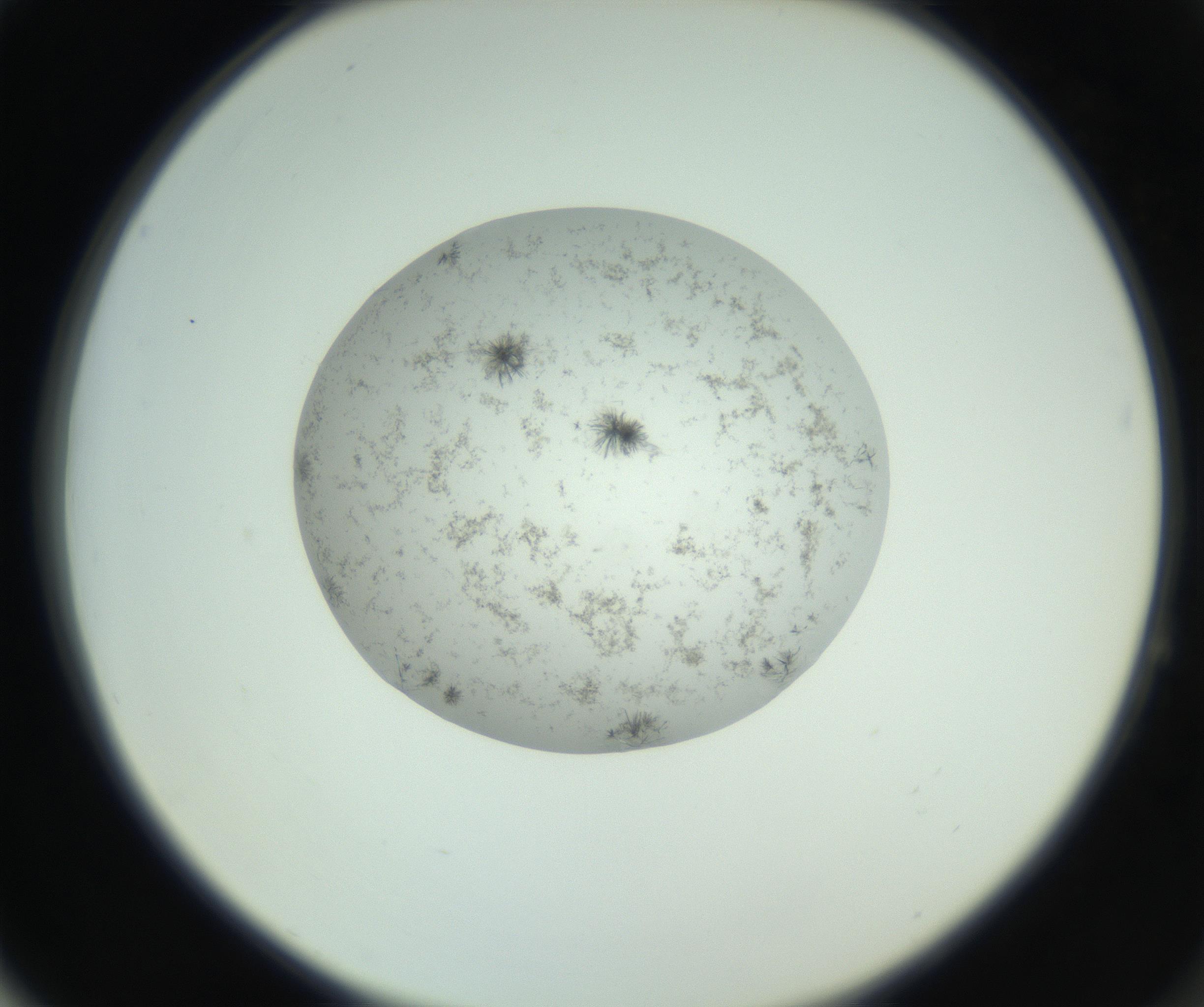 RI01_03_000_0212_Proj1_Clon1_MC_0000MC102779_002_160929_04_06_02_00_99_002_001_RAI.jpg