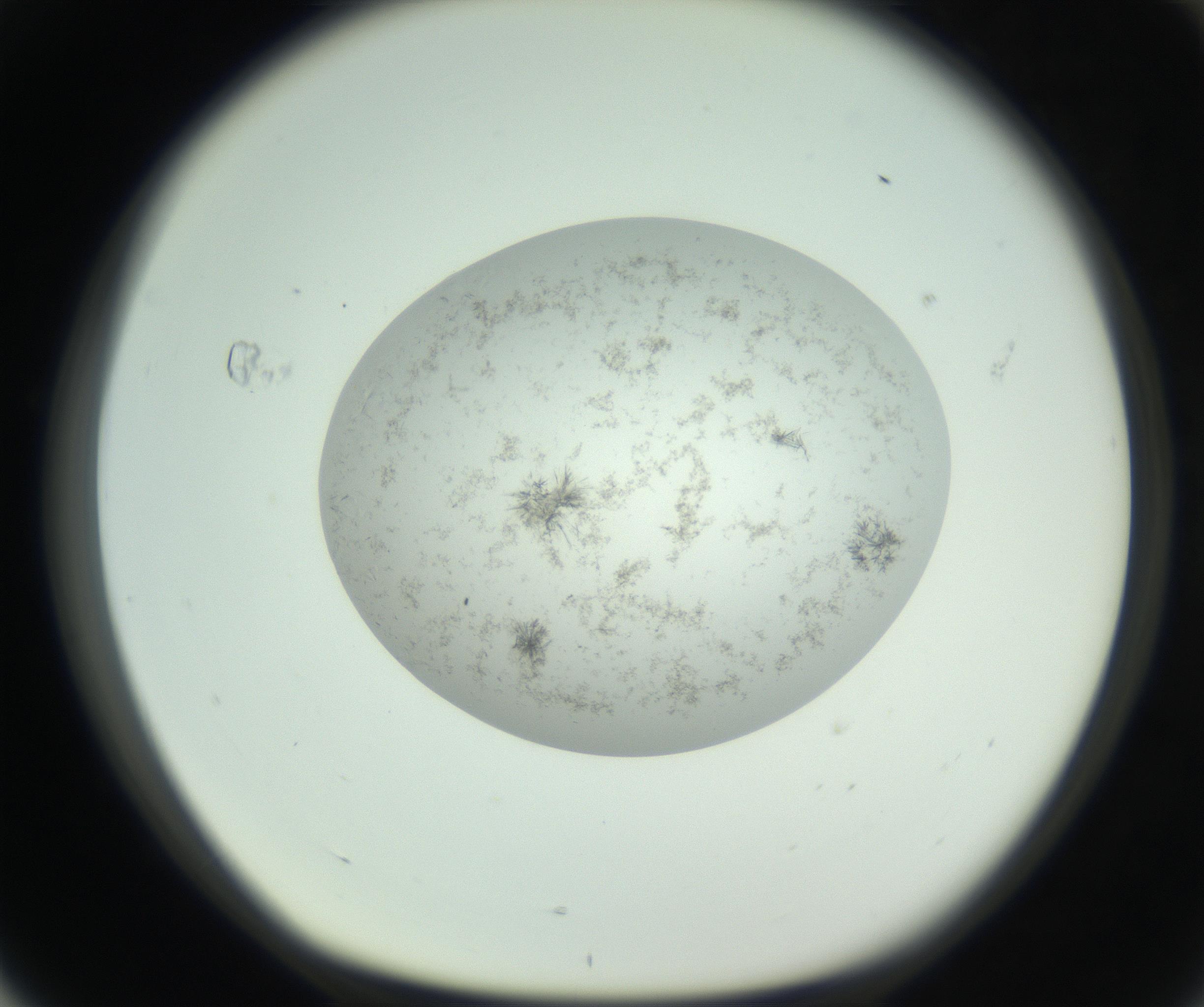 RI01_03_000_0212_Proj1_Clon1_MC_0000MC102779_002_160929_04_07_01_00_99_002_001_RAI.jpg