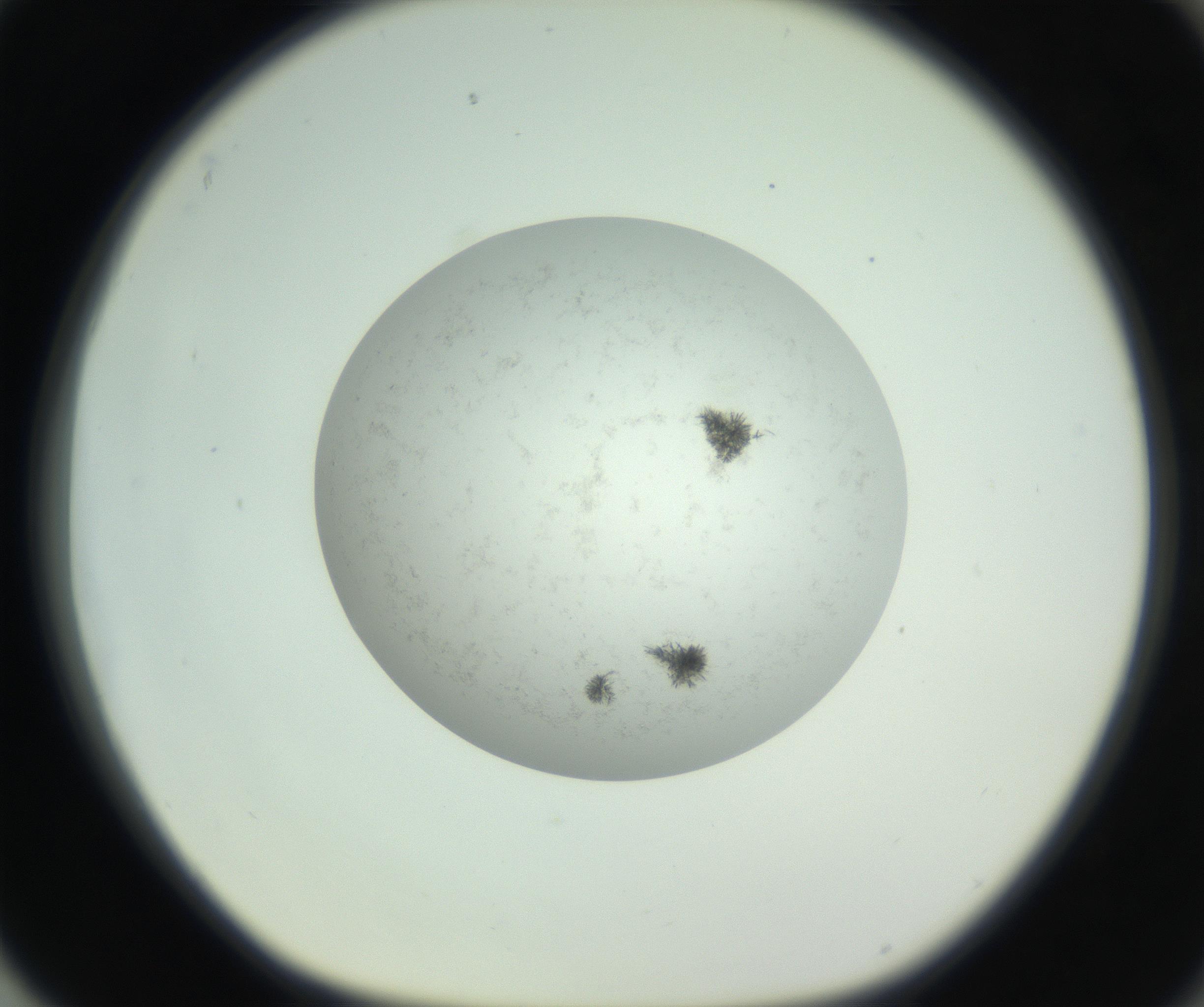RI01_03_000_0212_Proj1_Clon1_MC_0000MC102779_002_160929_04_08_01_00_99_002_001_RAI.jpg