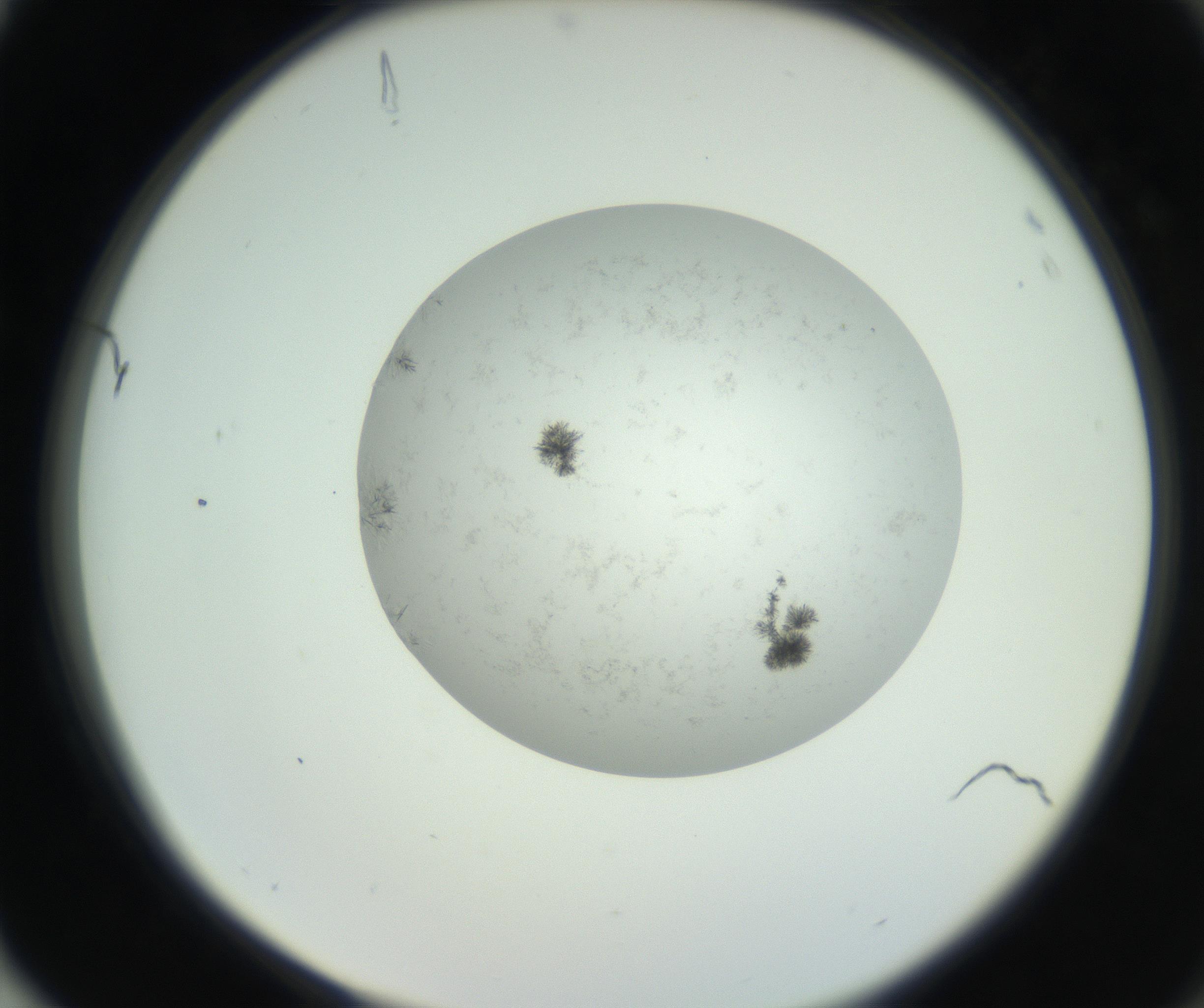 RI01_03_000_0212_Proj1_Clon1_MC_0000MC102779_002_160929_04_08_02_00_99_002_001_RAI.jpg