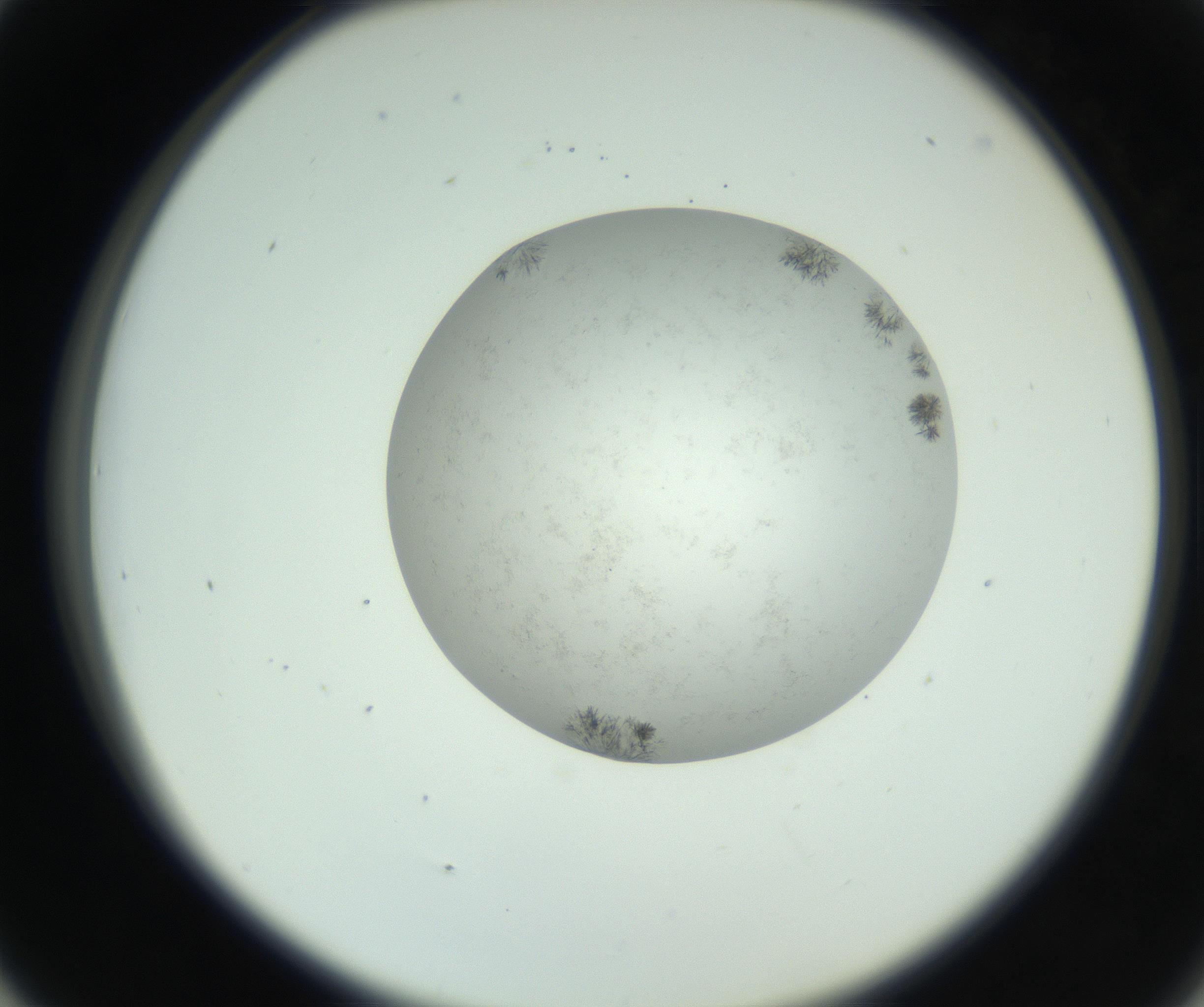 RI01_03_000_0212_Proj1_Clon1_MC_0000MC102779_002_160929_05_04_02_00_99_002_001_RAI.jpg