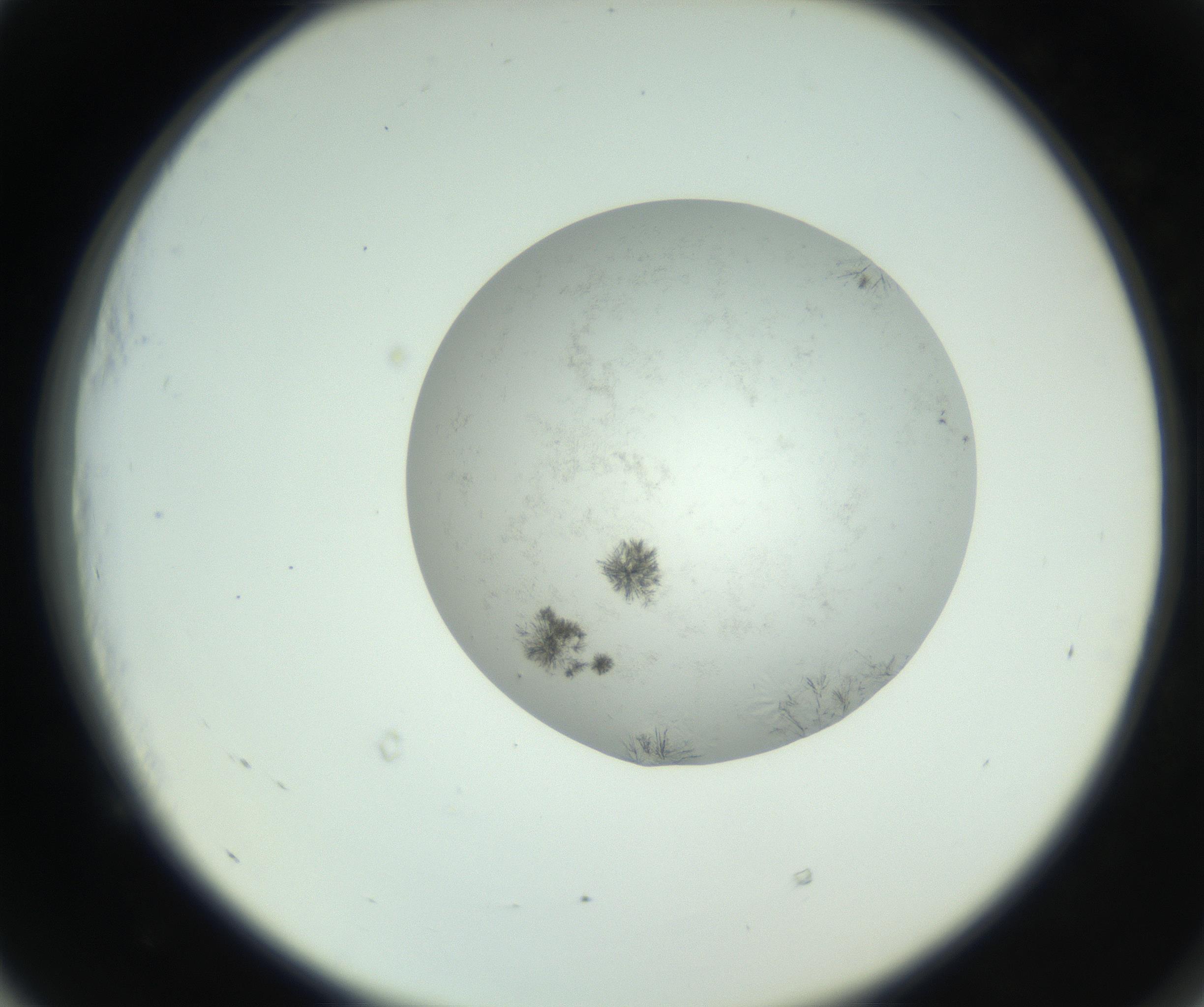 RI01_03_000_0212_Proj1_Clon1_MC_0000MC102779_002_160929_05_05_02_00_99_002_001_RAI.jpg