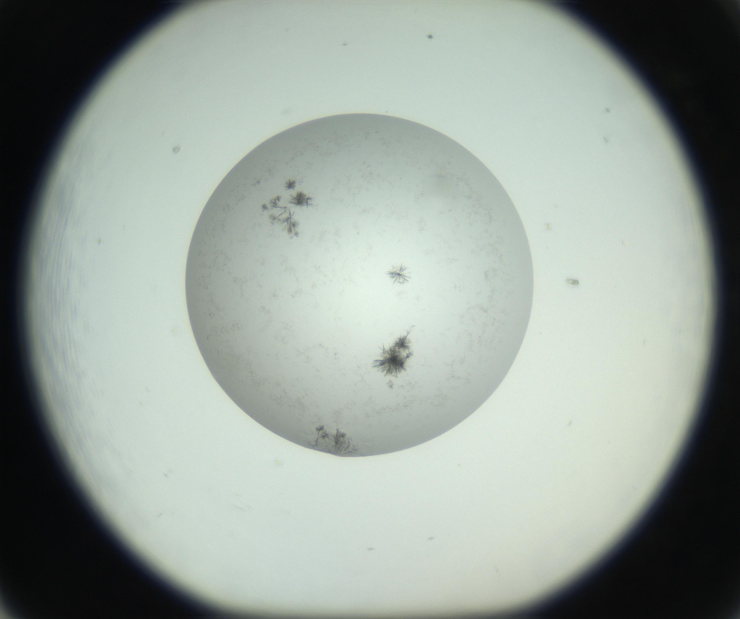RI01_03_000_0212_Proj1_Clon1_MC_0000MC102779_002_160929_05_06_01_00_99_002_001_RAI.jpg
