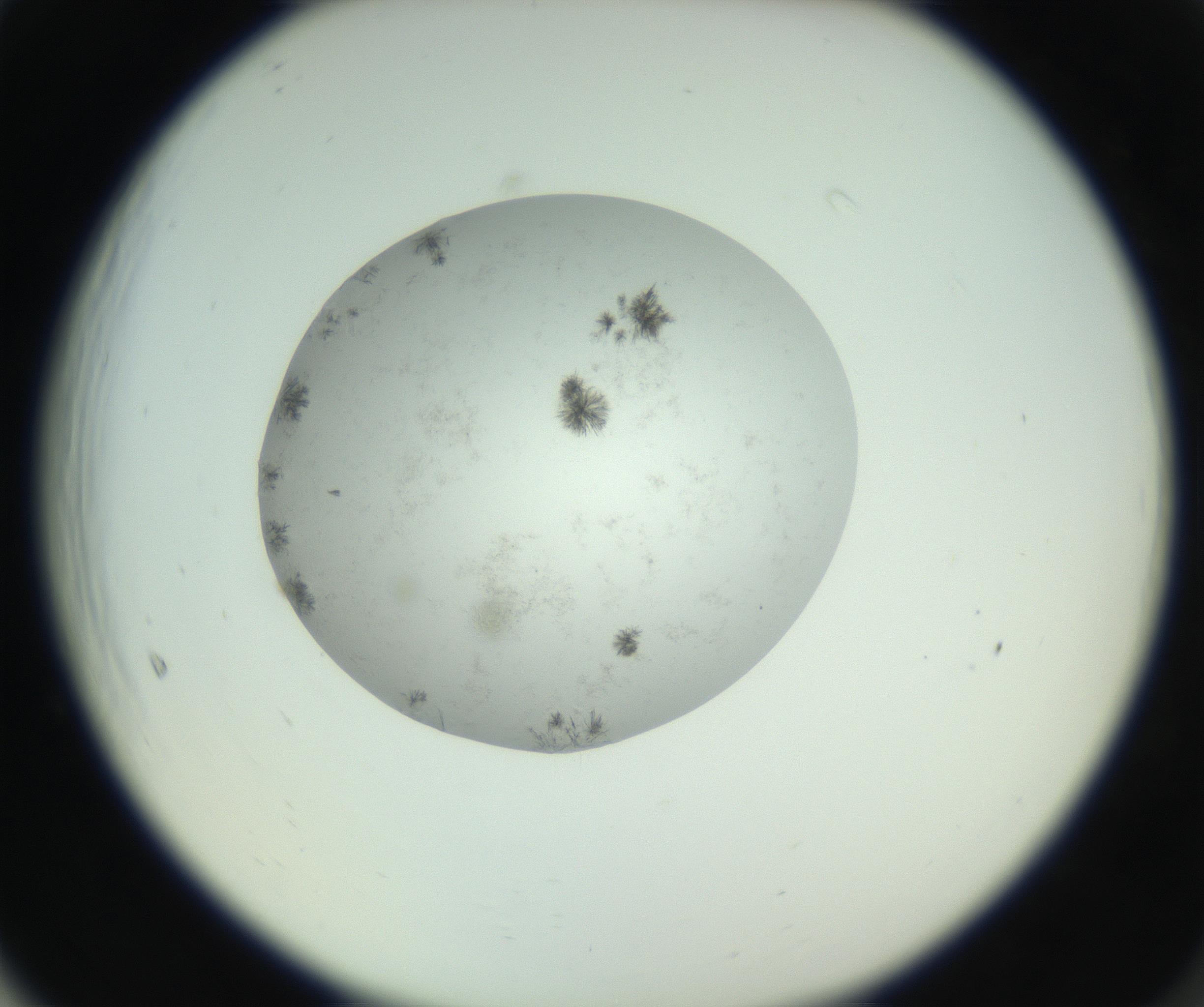 RI01_03_000_0212_Proj1_Clon1_MC_0000MC102779_002_160929_05_06_02_00_99_002_001_RAI.jpg