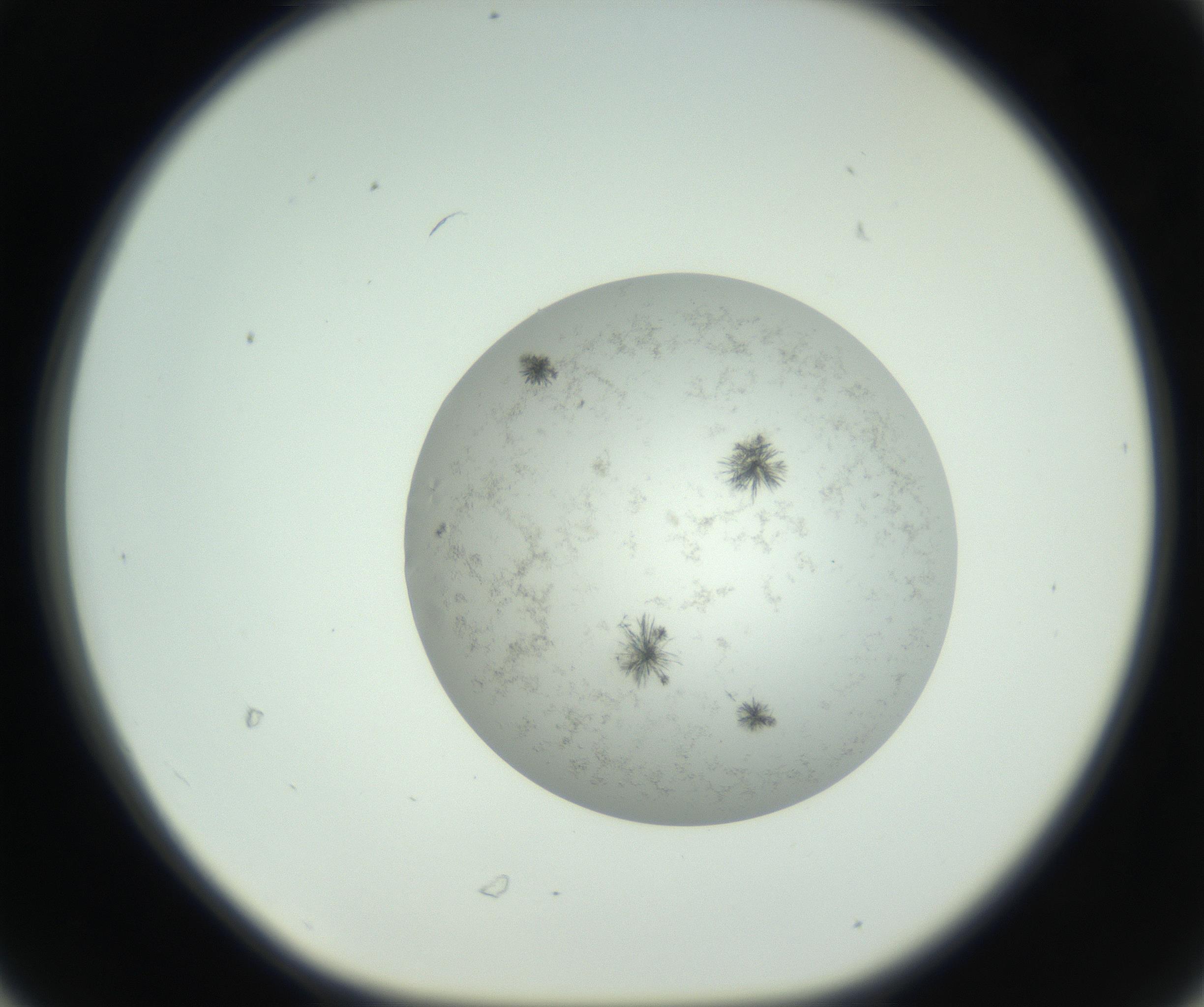 RI01_03_000_0212_Proj1_Clon1_MC_0000MC102779_002_160929_06_03_01_00_99_002_001_RAI.jpg