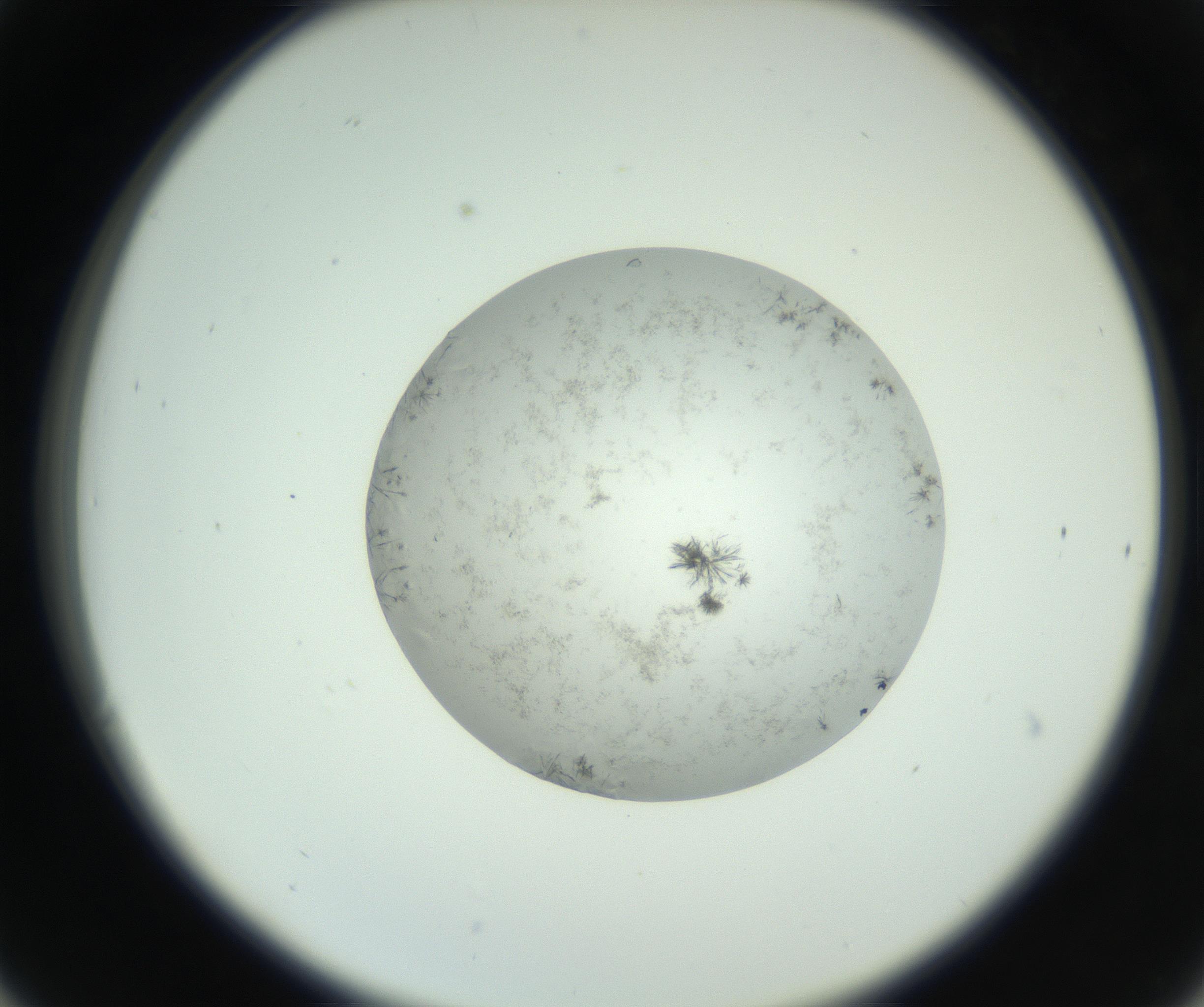 RI01_03_000_0212_Proj1_Clon1_MC_0000MC102779_002_160929_06_03_02_00_99_002_001_RAI.jpg