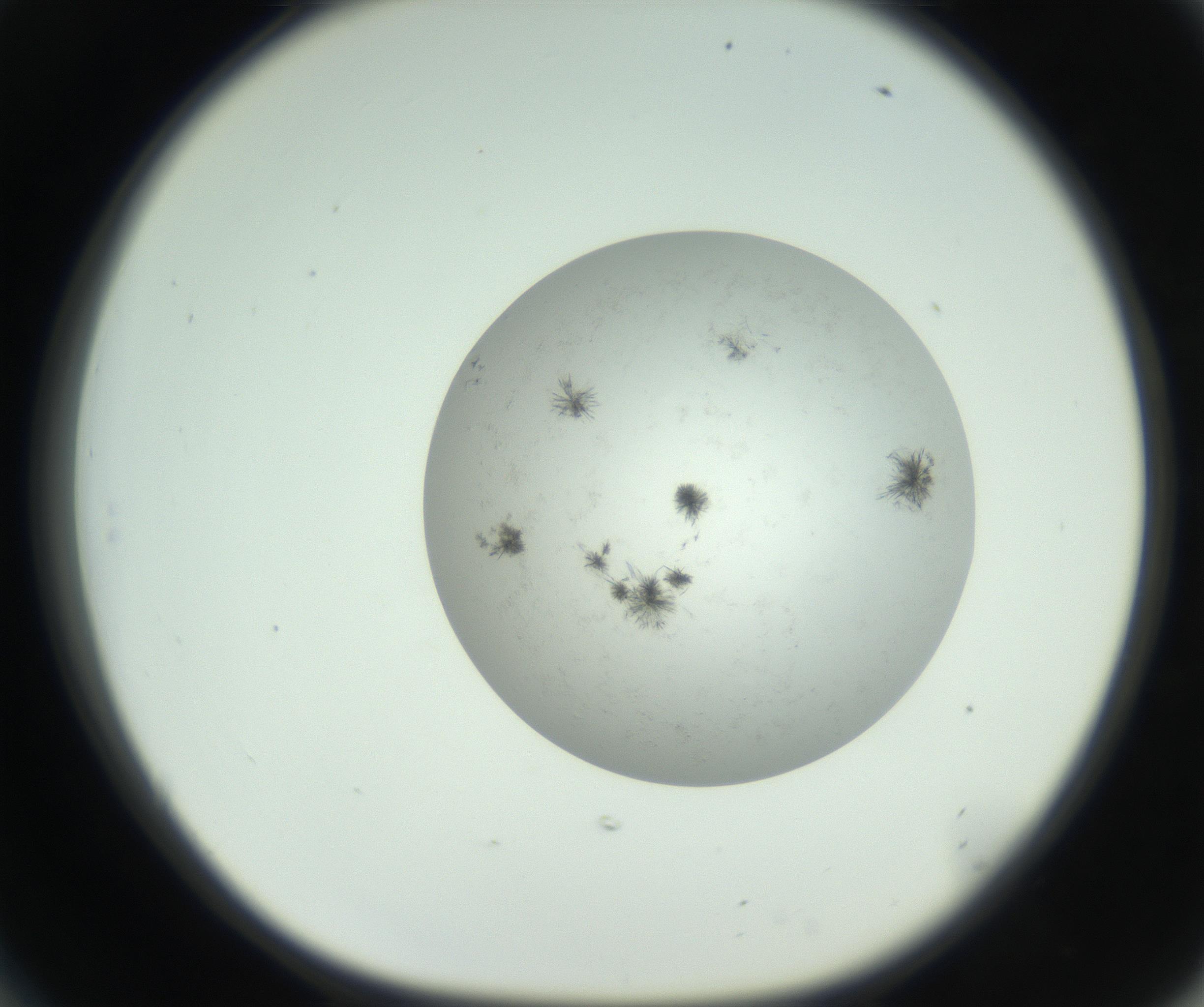 RI01_03_000_0212_Proj1_Clon1_MC_0000MC102779_002_160929_06_05_01_00_99_002_001_RAI.jpg