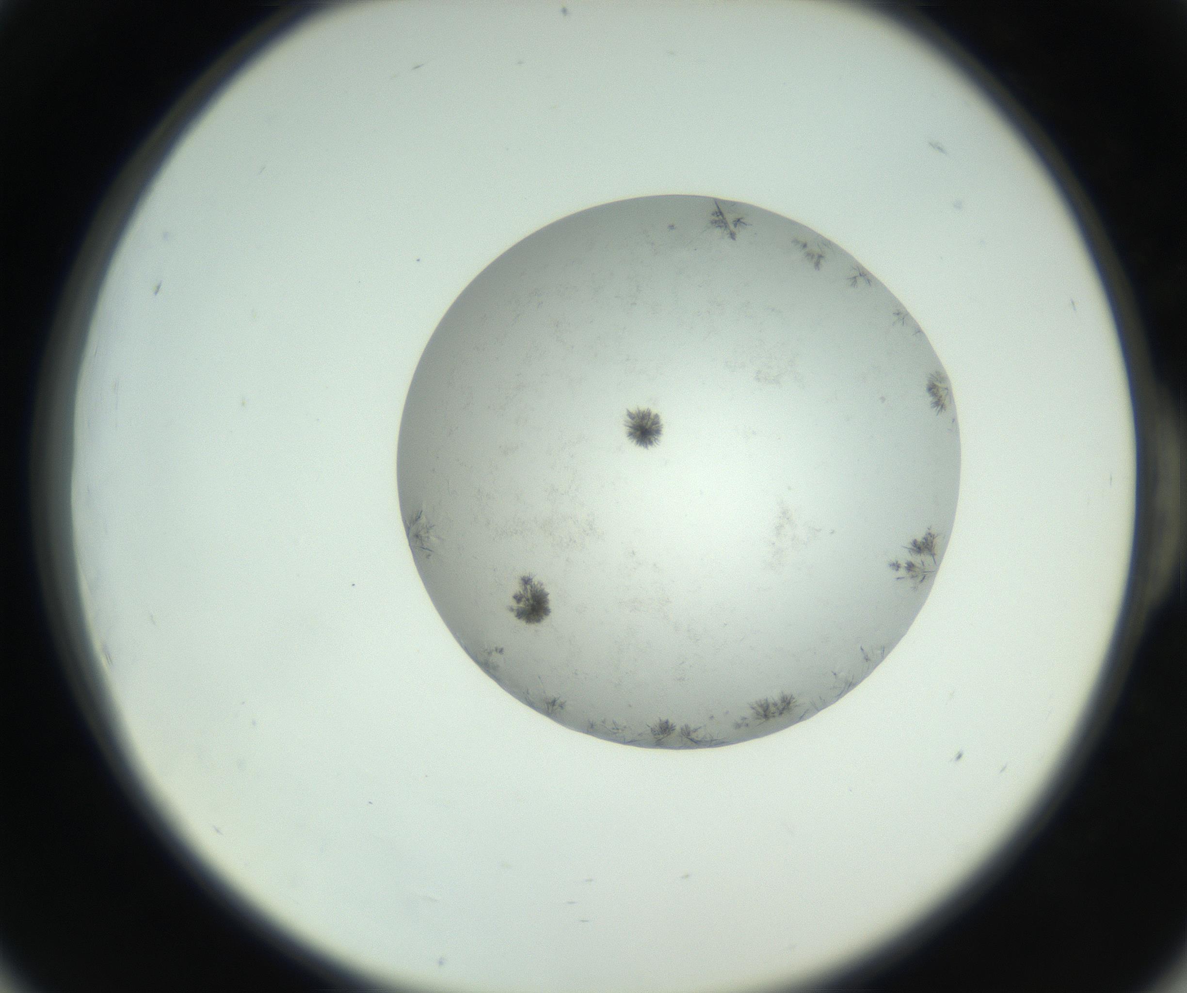 RI01_03_000_0212_Proj1_Clon1_MC_0000MC102779_002_160929_06_05_02_00_99_002_001_RAI.jpg