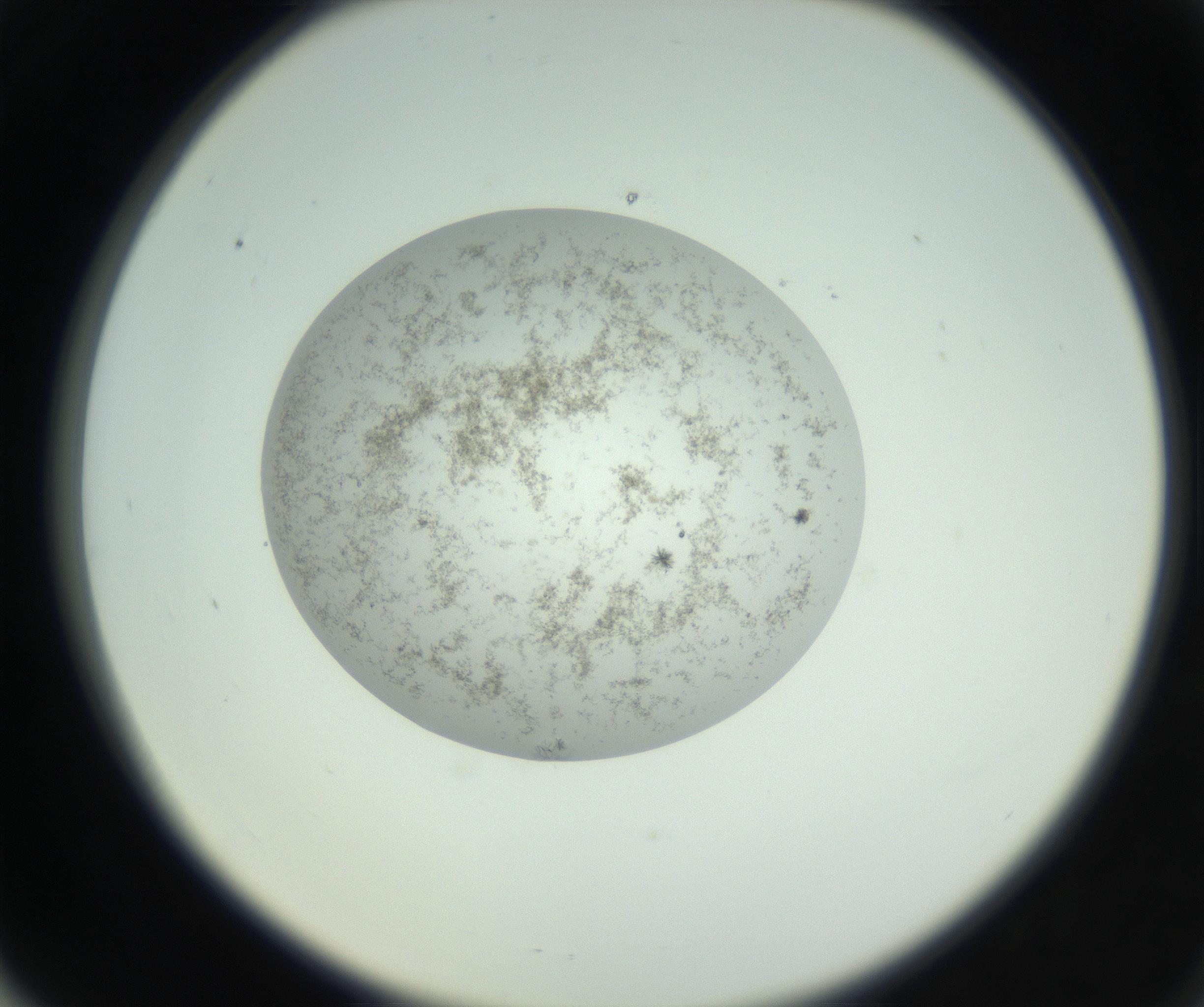 RI01_03_000_0212_Proj1_Clon1_MC_0000MC102779_002_160929_06_06_02_00_99_002_001_RAI.jpg