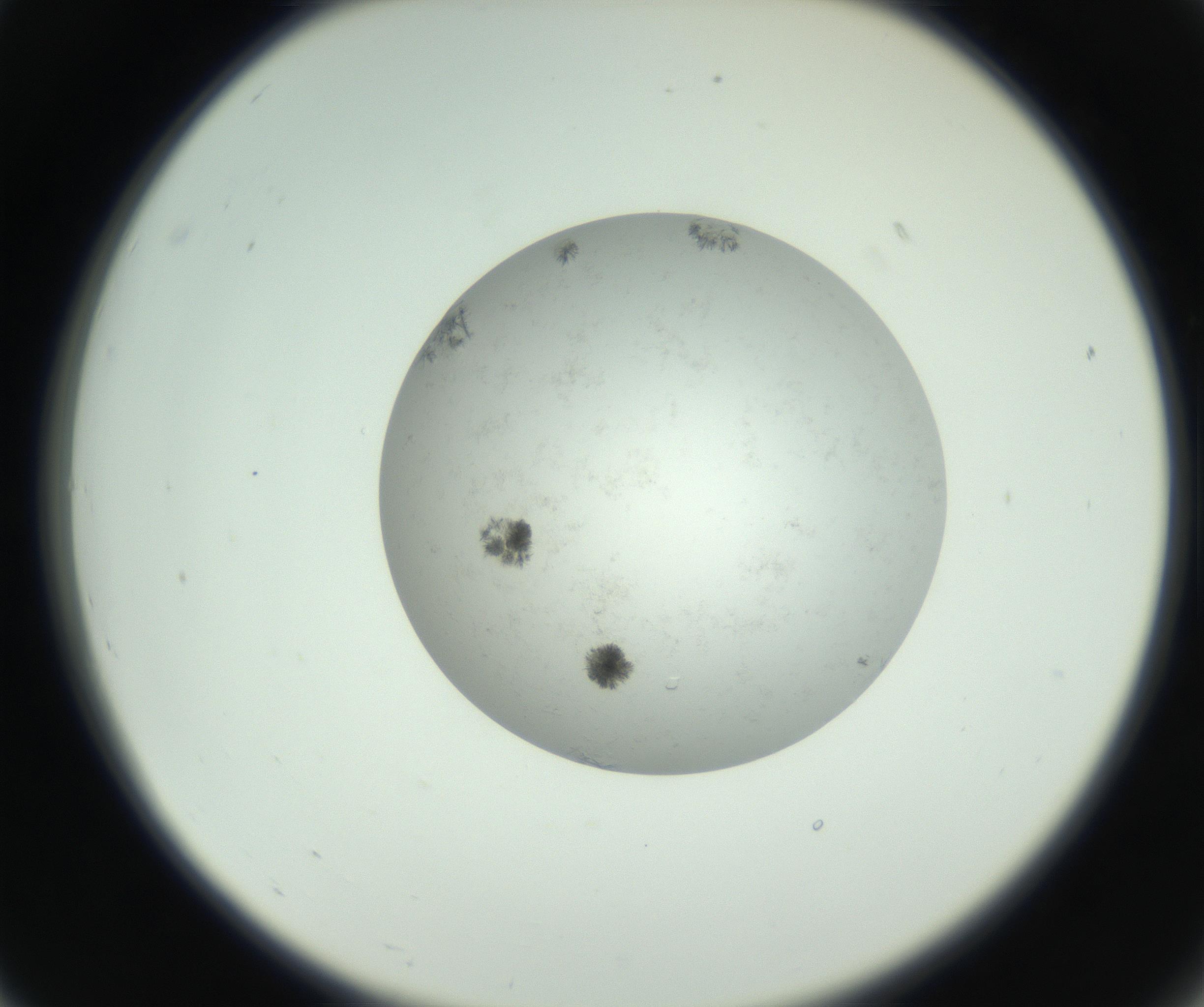 RI01_03_000_0212_Proj1_Clon1_MC_0000MC102779_002_160929_07_02_02_00_99_002_001_RAI.jpg