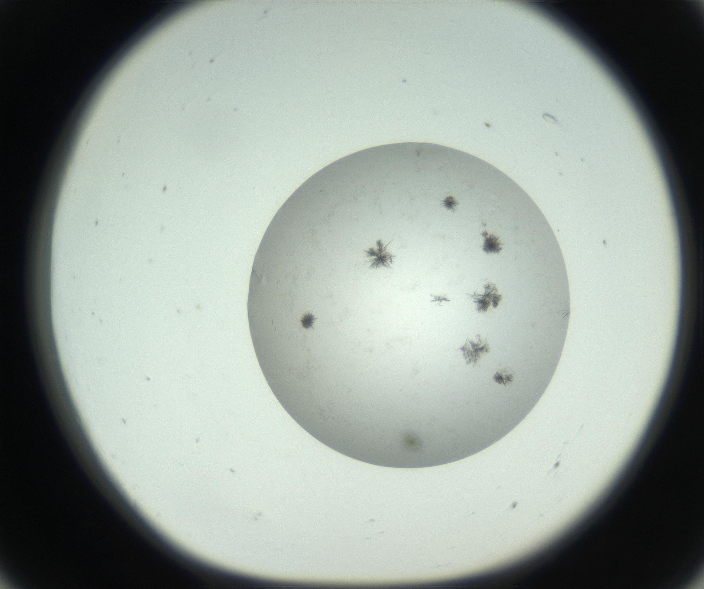 RI01_03_000_0212_Proj1_Clon1_MC_0000MC102779_002_160929_07_05_01_00_99_002_001_RAI.jpg