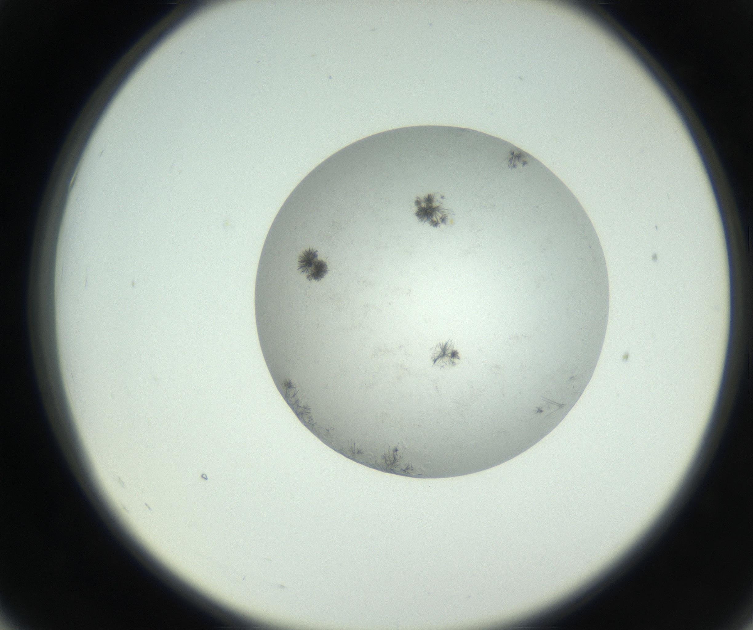 RI01_03_000_0212_Proj1_Clon1_MC_0000MC102779_002_160929_07_05_02_00_99_002_001_RAI.jpg