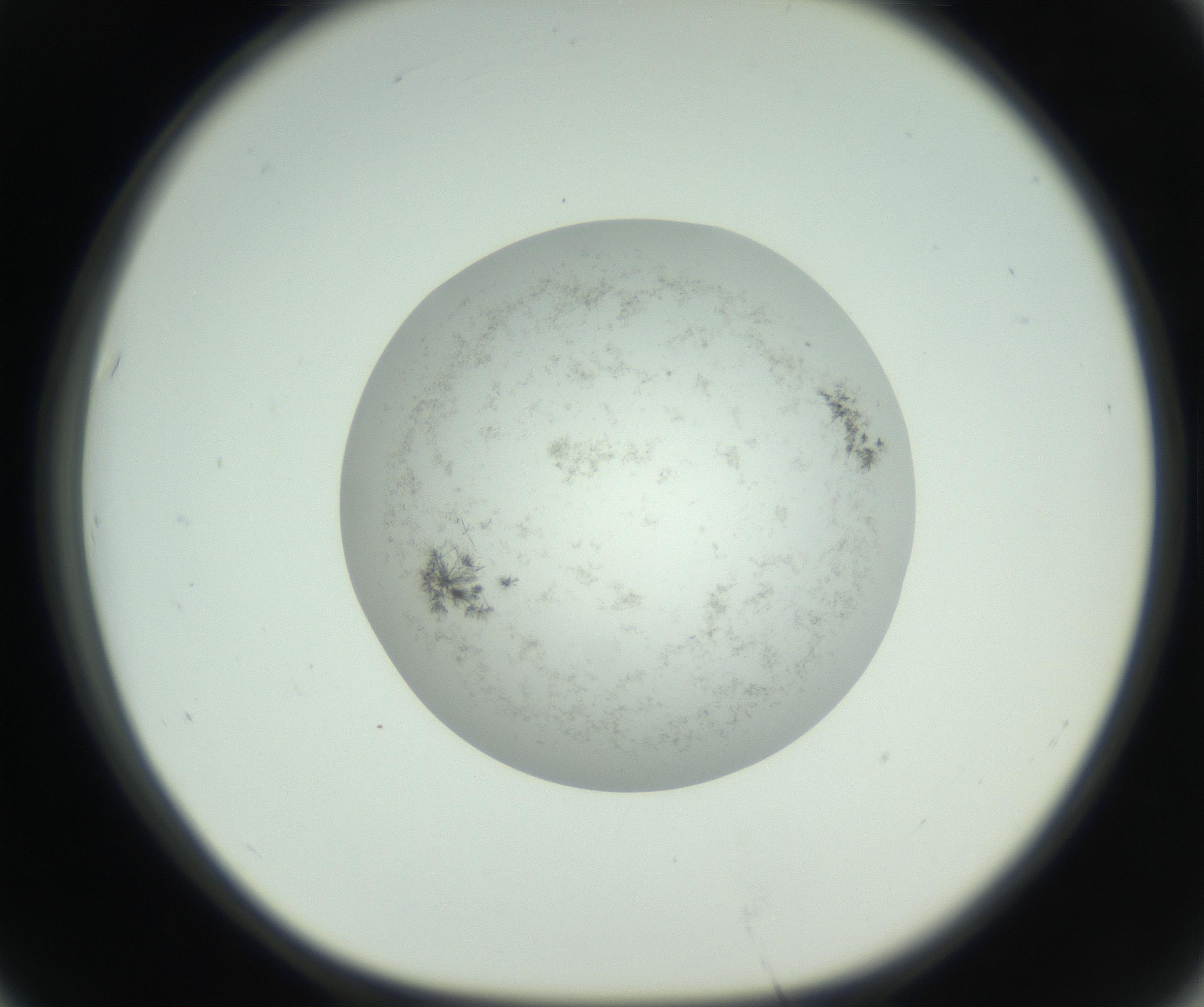 RI01_03_000_0212_Proj1_Clon1_MC_0000MC102779_002_160929_07_06_01_00_99_002_001_RAI.jpg