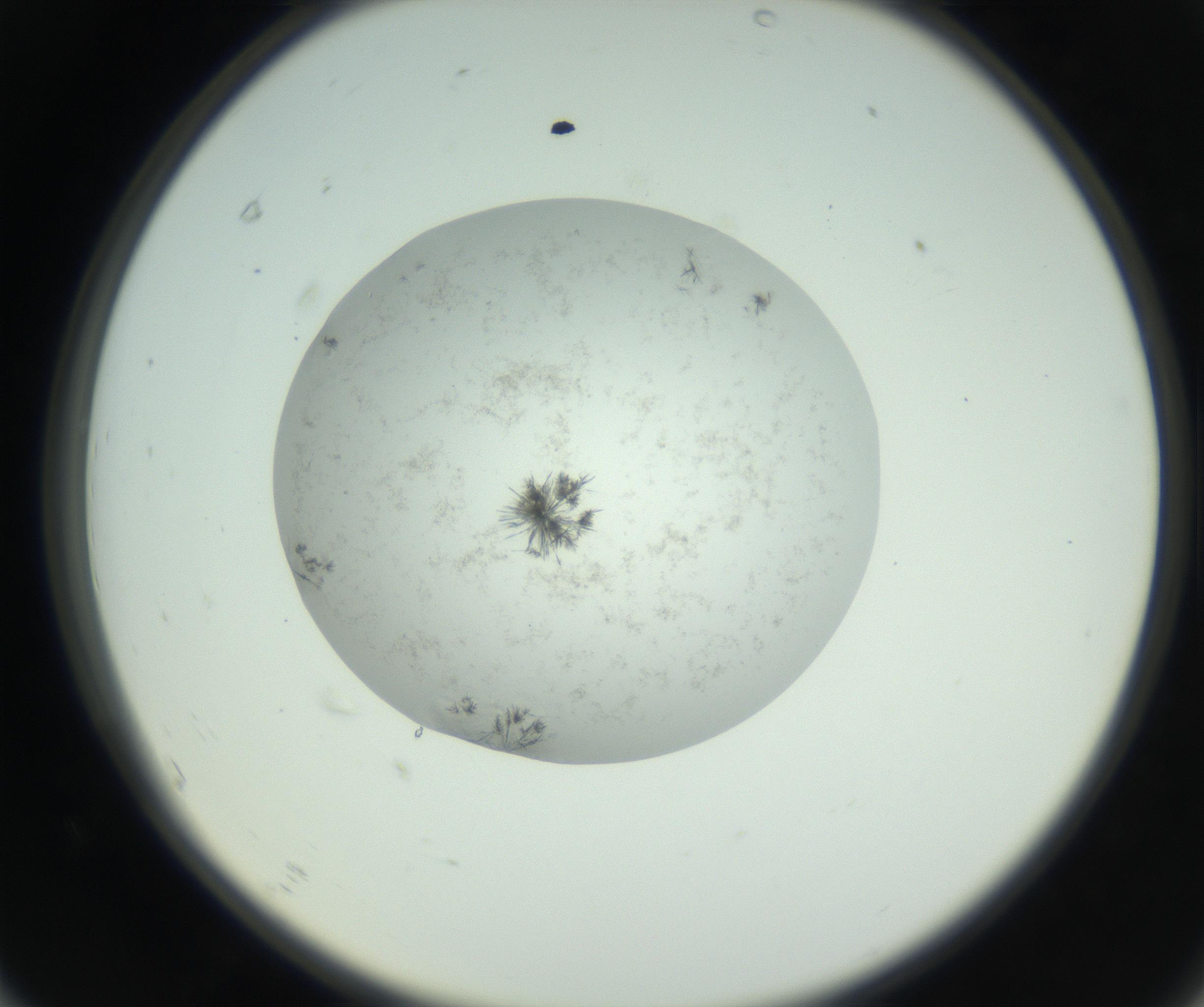 RI01_03_000_0212_Proj1_Clon1_MC_0000MC102779_002_160929_07_06_02_00_99_002_001_RAI.jpg