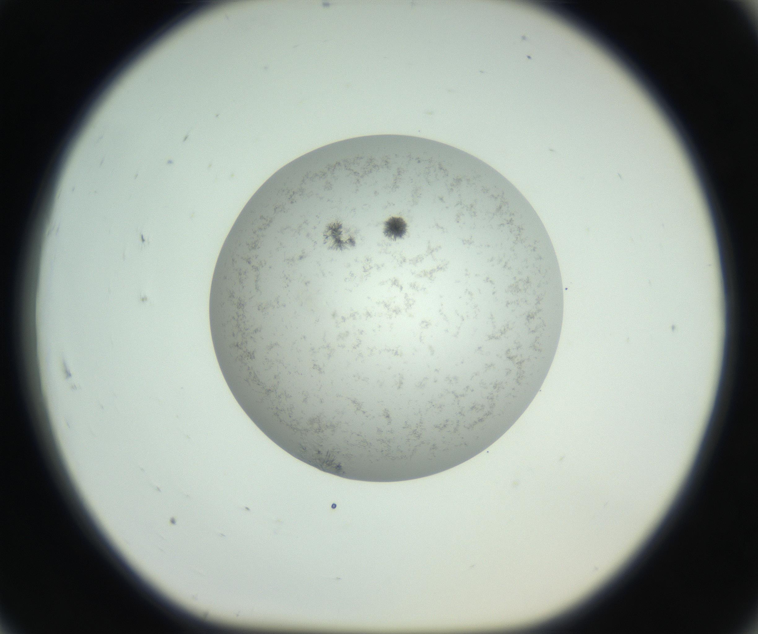 RI01_03_000_0212_Proj1_Clon1_MC_0000MC102779_002_160929_07_08_01_00_99_002_001_RAI.jpg