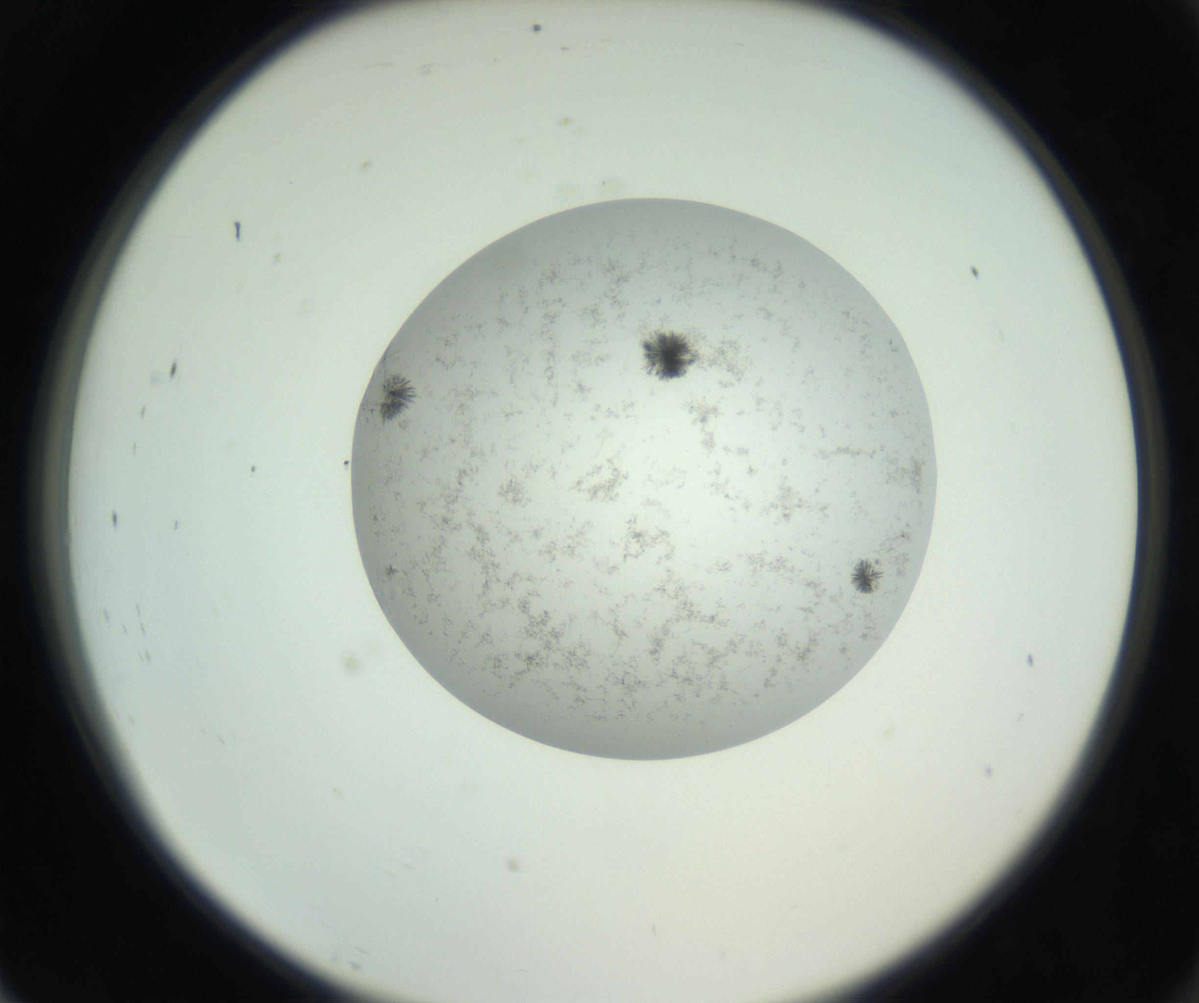 RI01_03_000_0212_Proj1_Clon1_MC_0000MC102779_002_160929_07_08_02_00_99_002_001_RAI.jpg
