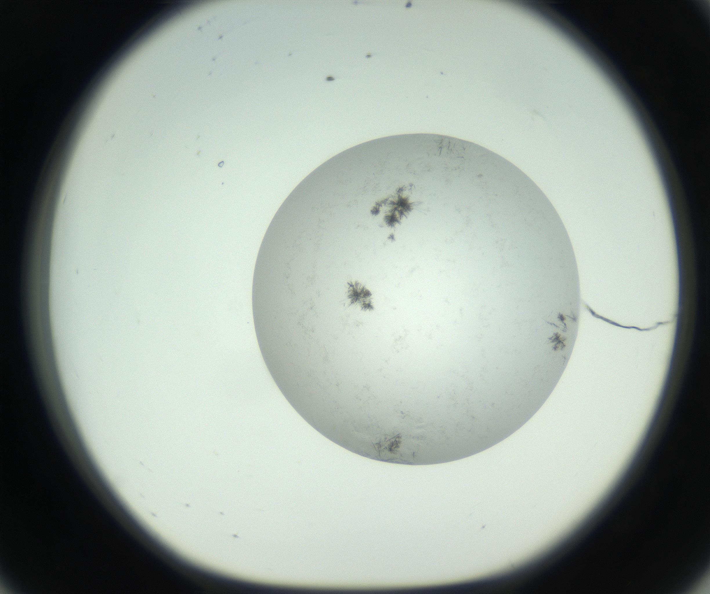 RI01_03_000_0212_Proj1_Clon1_MC_0000MC102779_002_160929_08_05_01_00_99_002_001_RAI.jpg