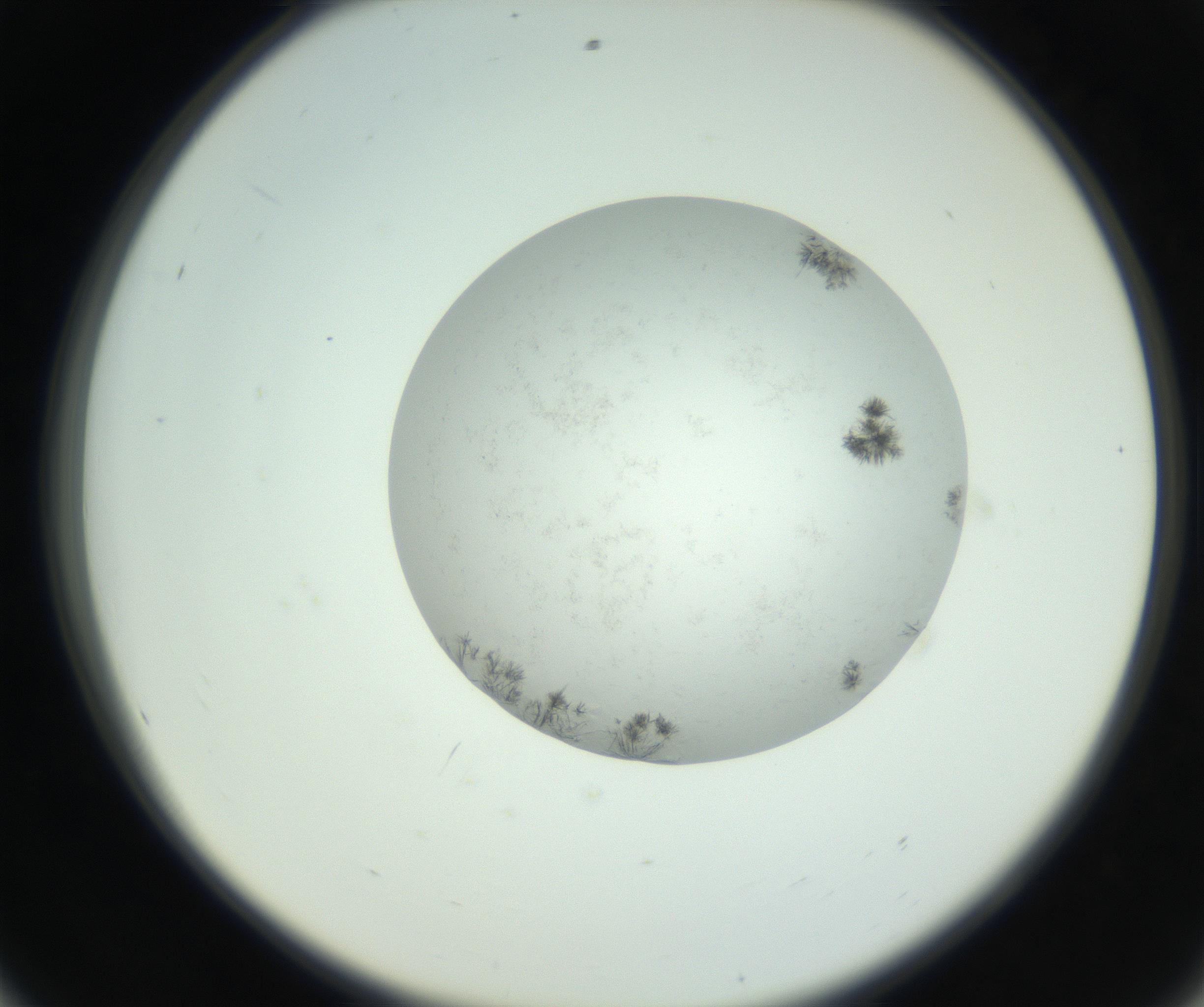 RI01_03_000_0212_Proj1_Clon1_MC_0000MC102779_002_160929_08_05_02_00_99_002_001_RAI.jpg