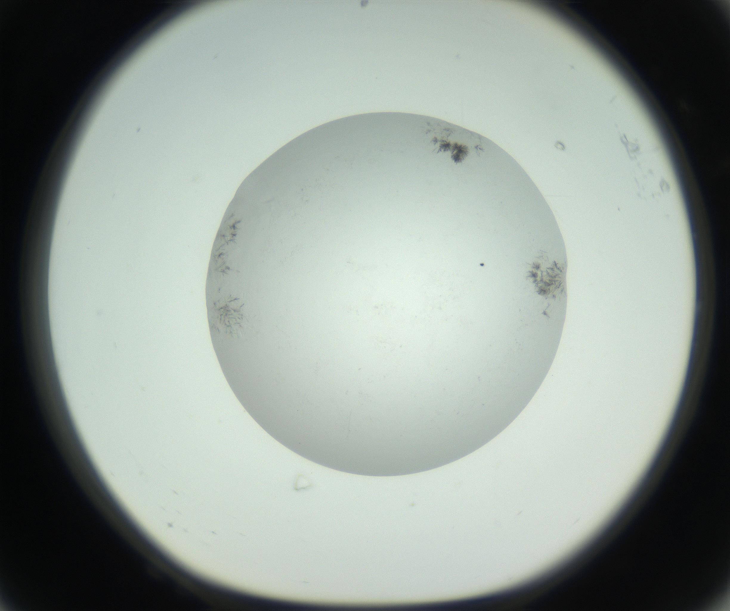 RI01_03_000_0212_Proj1_Clon1_MC_0000MC102779_002_160929_08_06_01_00_99_002_001_RAI.jpg