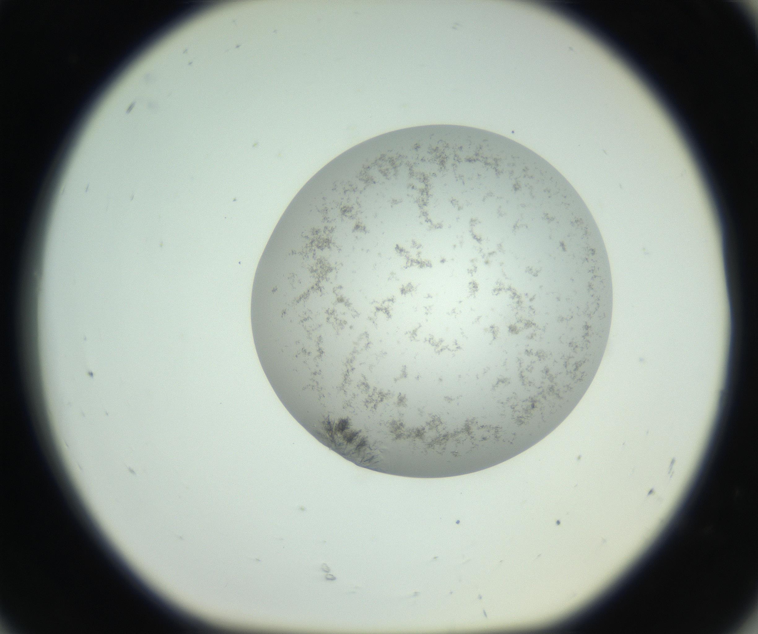 RI01_03_000_0212_Proj1_Clon1_MC_0000MC102779_002_160929_08_08_01_00_99_002_001_RAI.jpg
