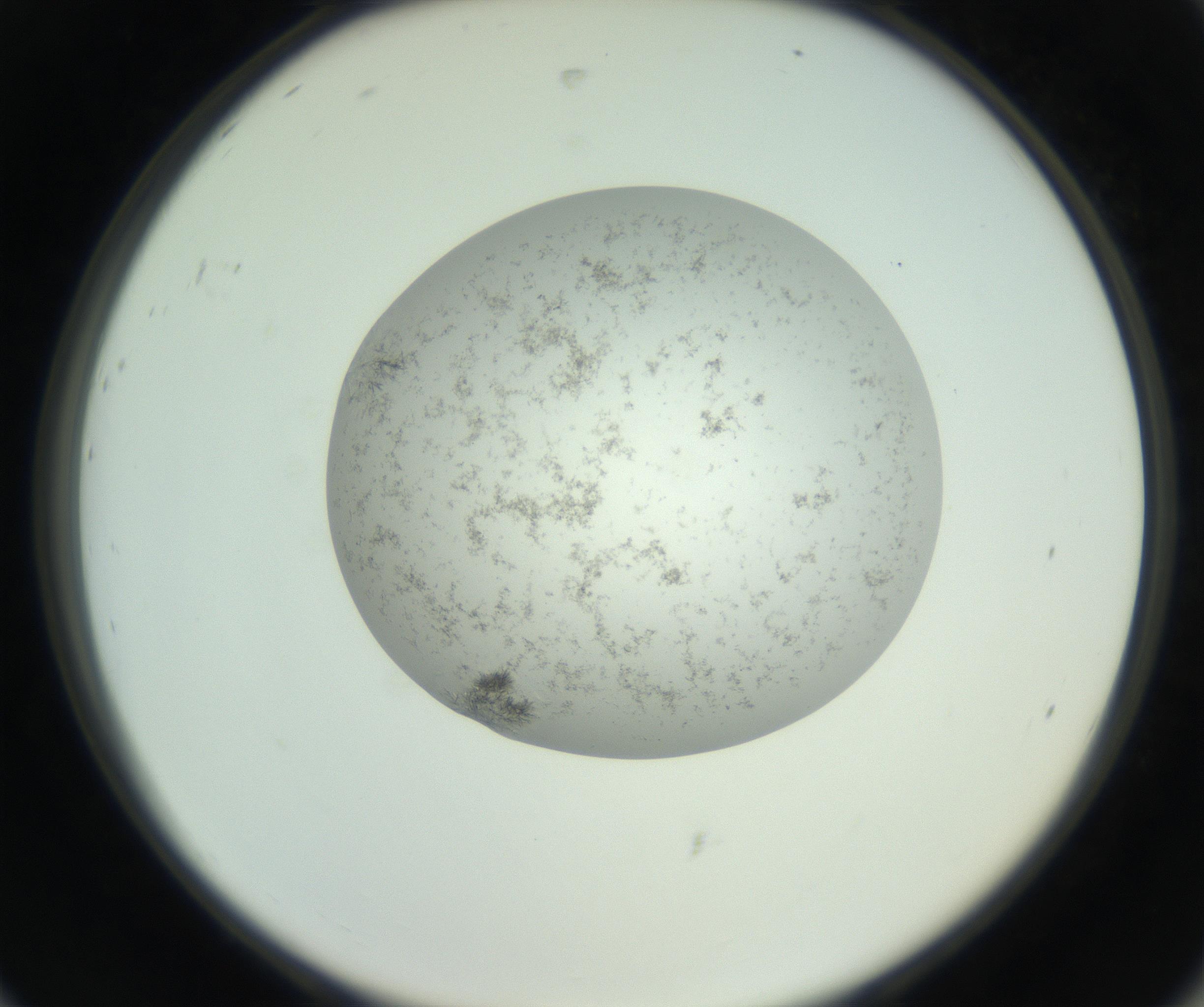 RI01_03_000_0212_Proj1_Clon1_MC_0000MC102779_002_160929_08_08_02_00_99_002_001_RAI.jpg