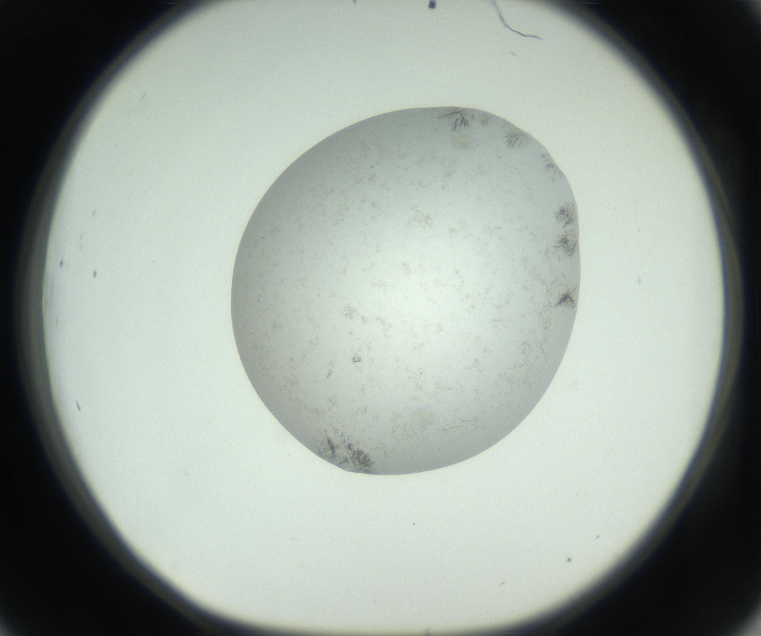 RI01_03_000_0212_Proj1_Clon1_MC_0000MC102779_002_160929_09_04_01_00_99_002_001_RAI.jpg