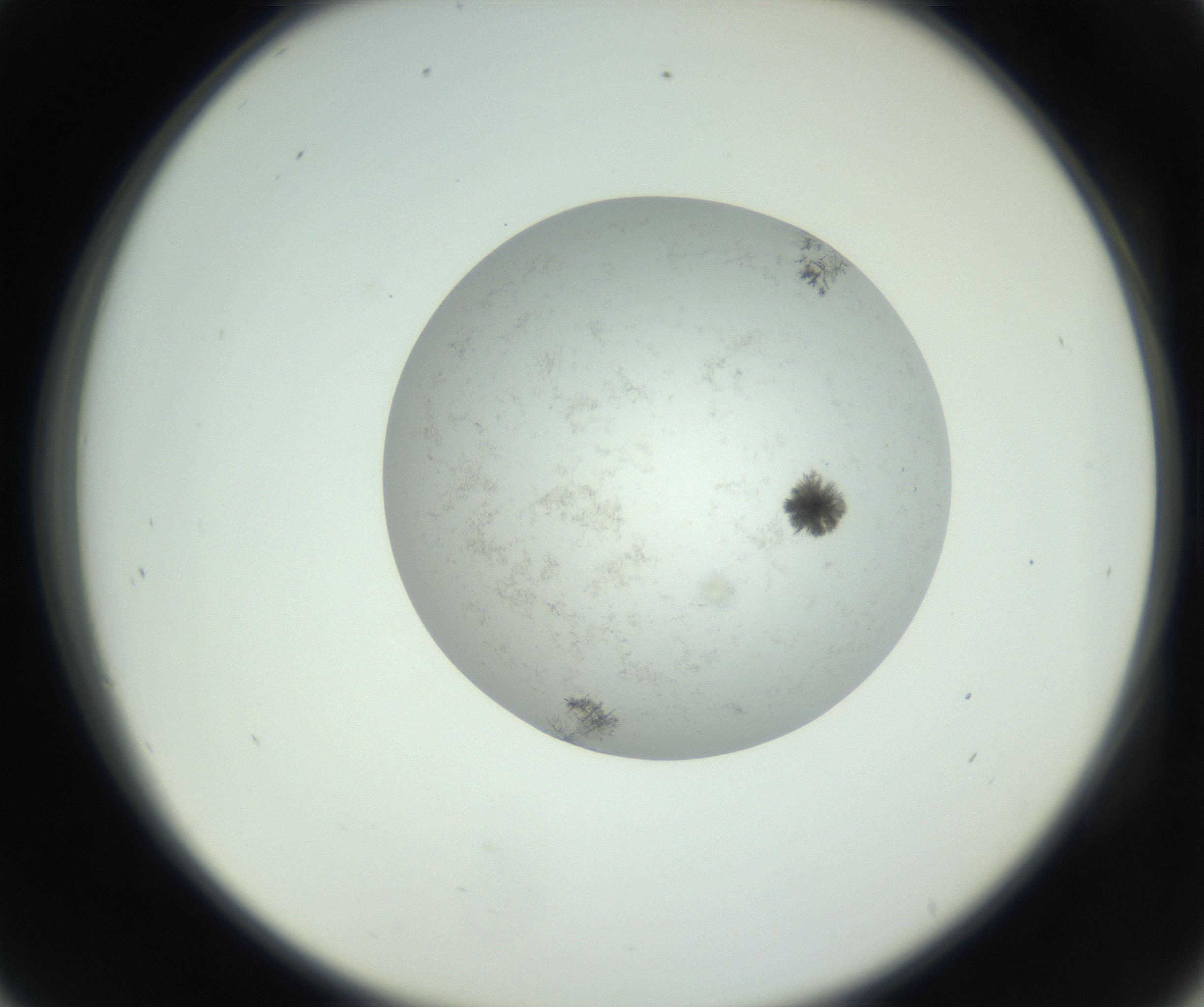 RI01_03_000_0212_Proj1_Clon1_MC_0000MC102779_002_160929_09_04_02_00_99_002_001_RAI.jpg