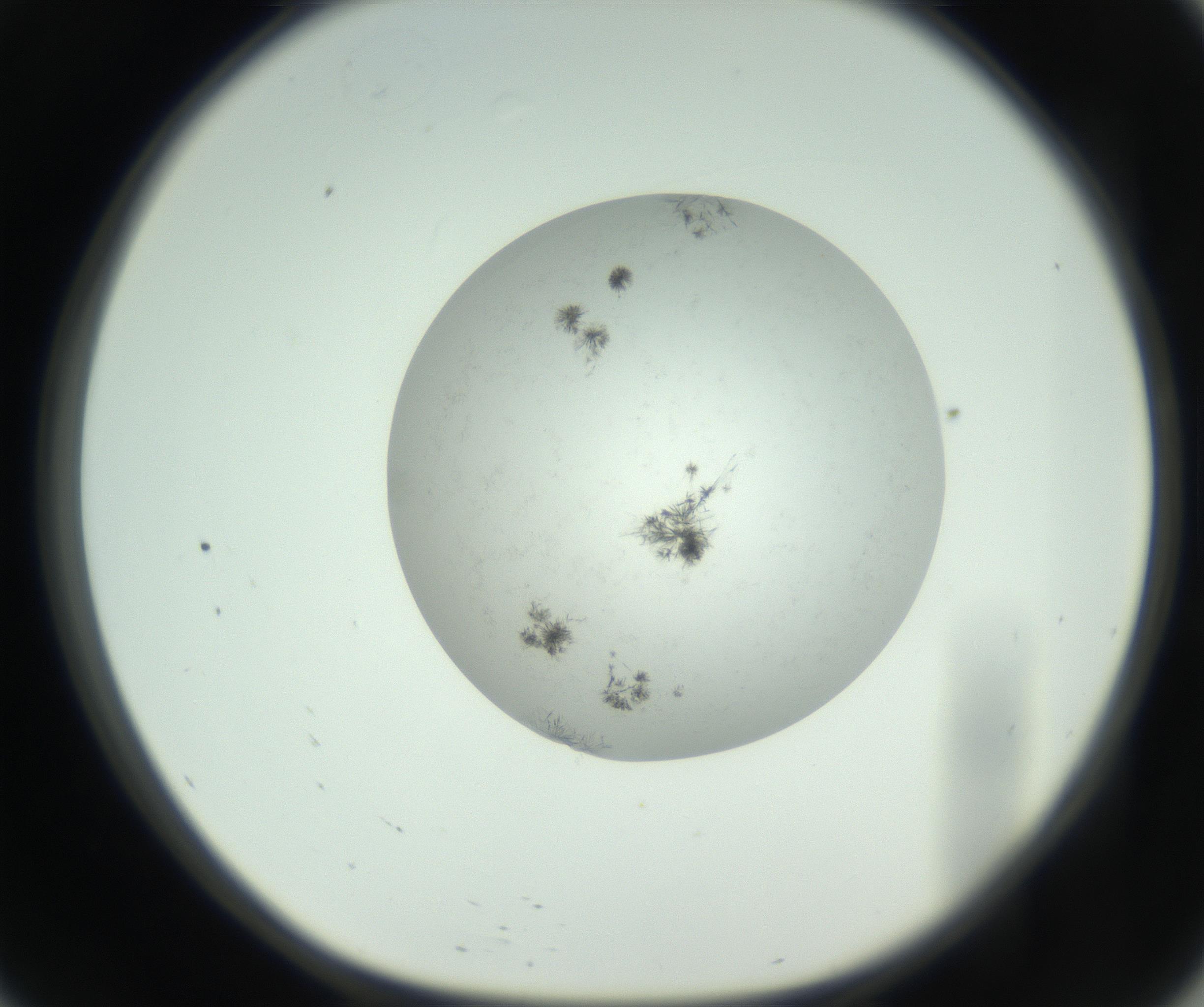 RI01_03_000_0212_Proj1_Clon1_MC_0000MC102779_002_160929_09_05_01_00_99_002_001_RAI.jpg