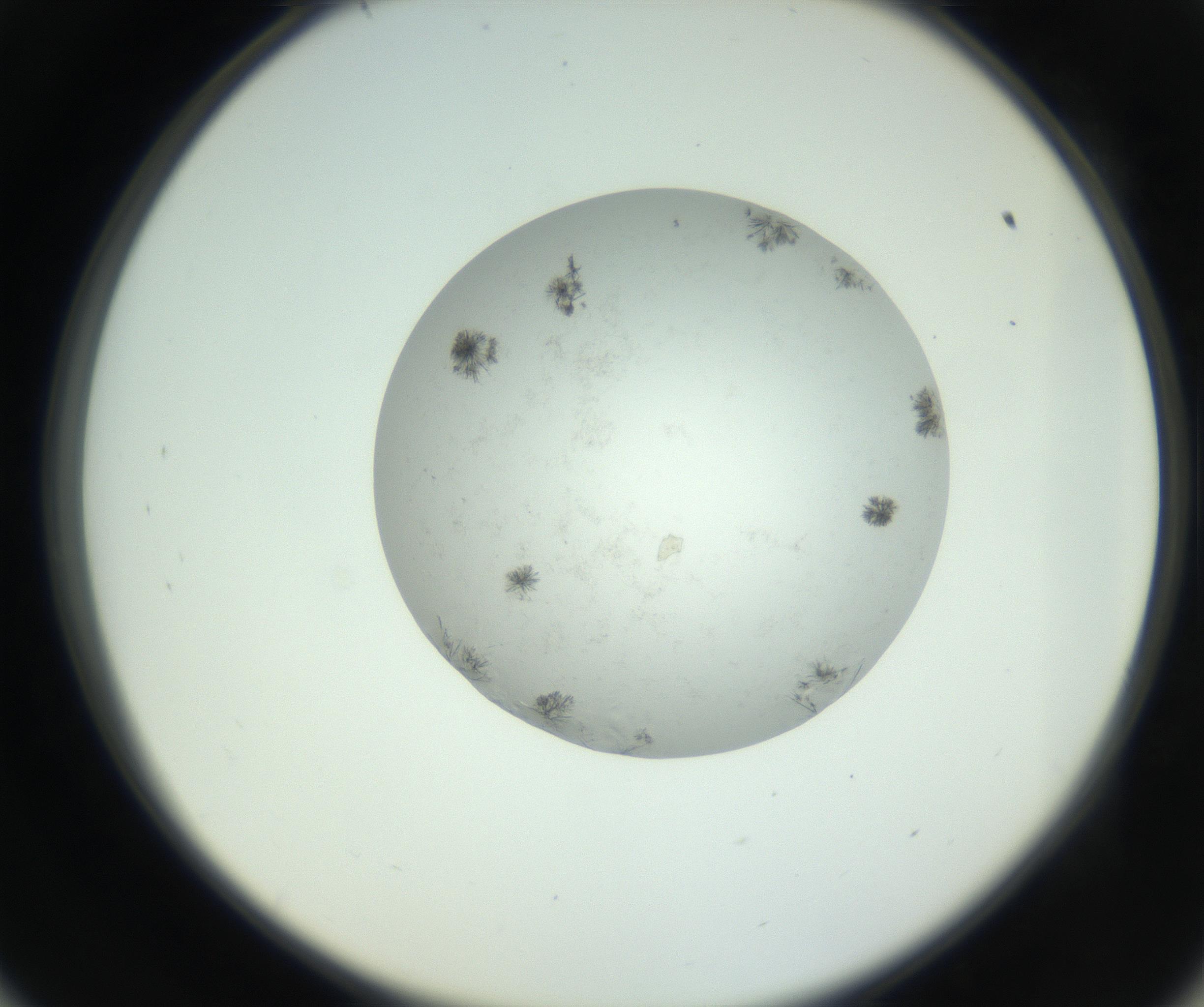 RI01_03_000_0212_Proj1_Clon1_MC_0000MC102779_002_160929_09_05_02_00_99_002_001_RAI.jpg