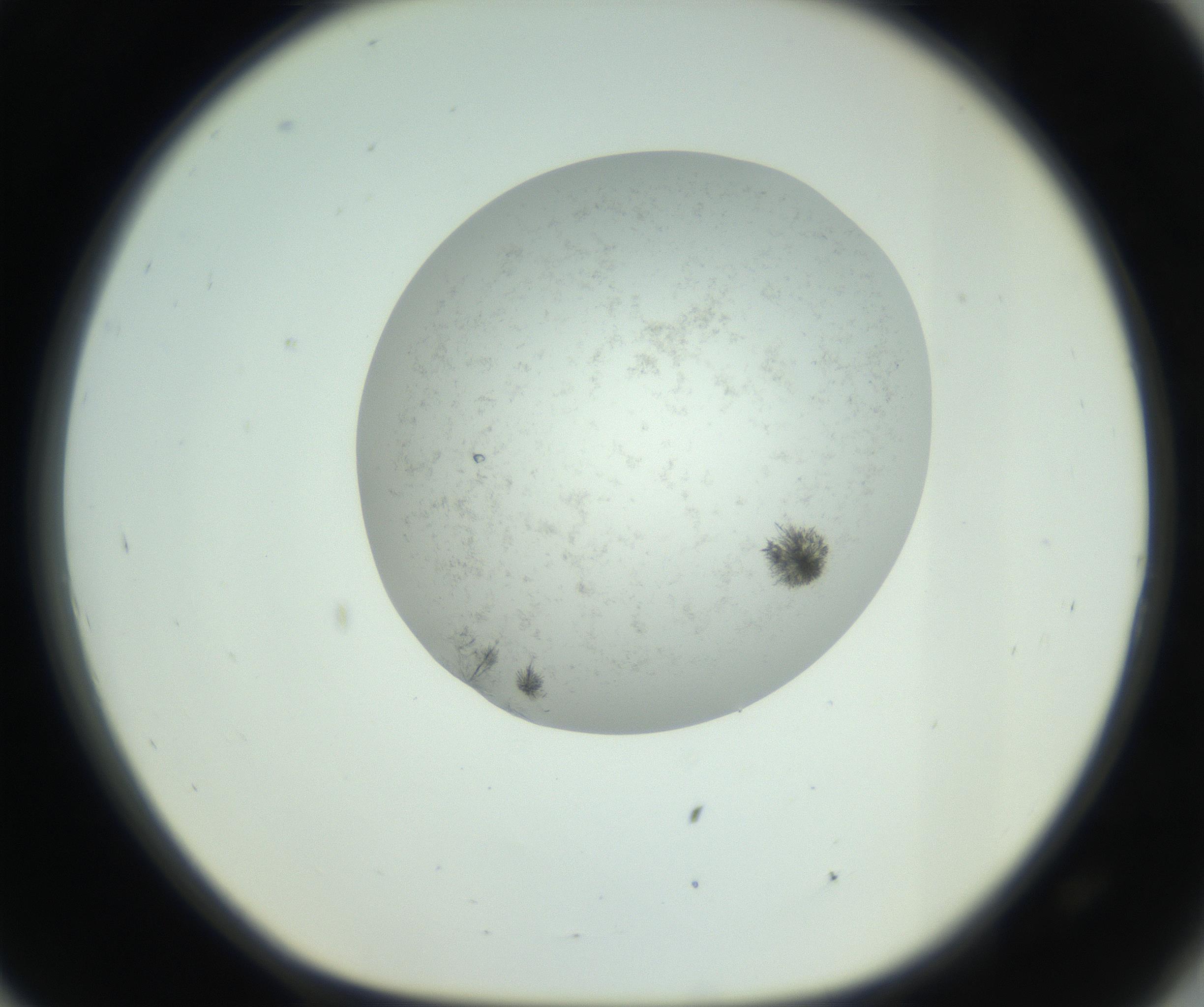 RI01_03_000_0212_Proj1_Clon1_MC_0000MC102779_002_160929_09_08_01_00_99_002_001_RAI.jpg