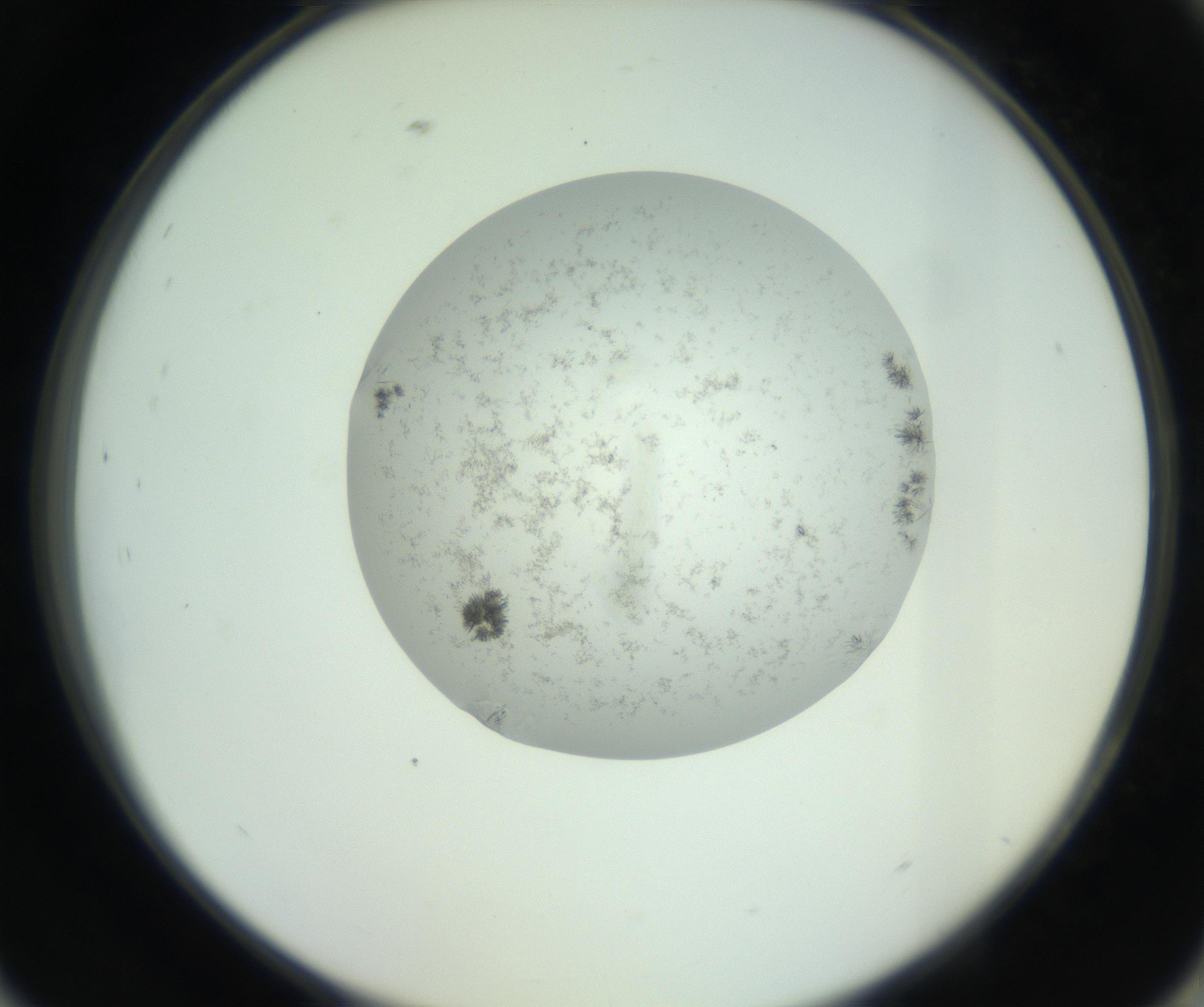 RI01_03_000_0212_Proj1_Clon1_MC_0000MC102779_002_160929_09_08_02_00_99_002_001_RAI.jpg