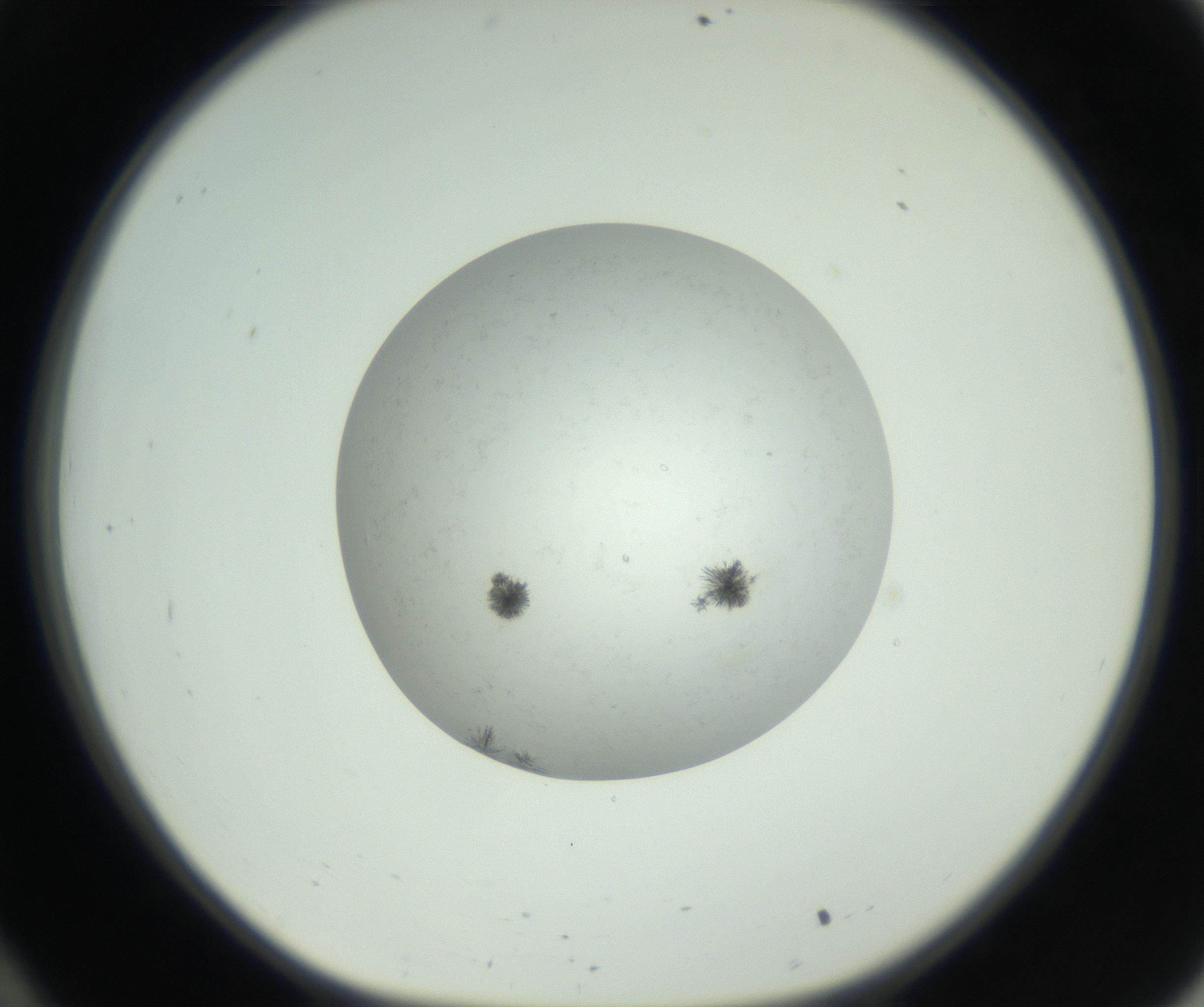 RI01_03_000_0212_Proj1_Clon1_MC_0000MC102779_002_160929_10_03_01_00_99_002_001_RAI.jpg