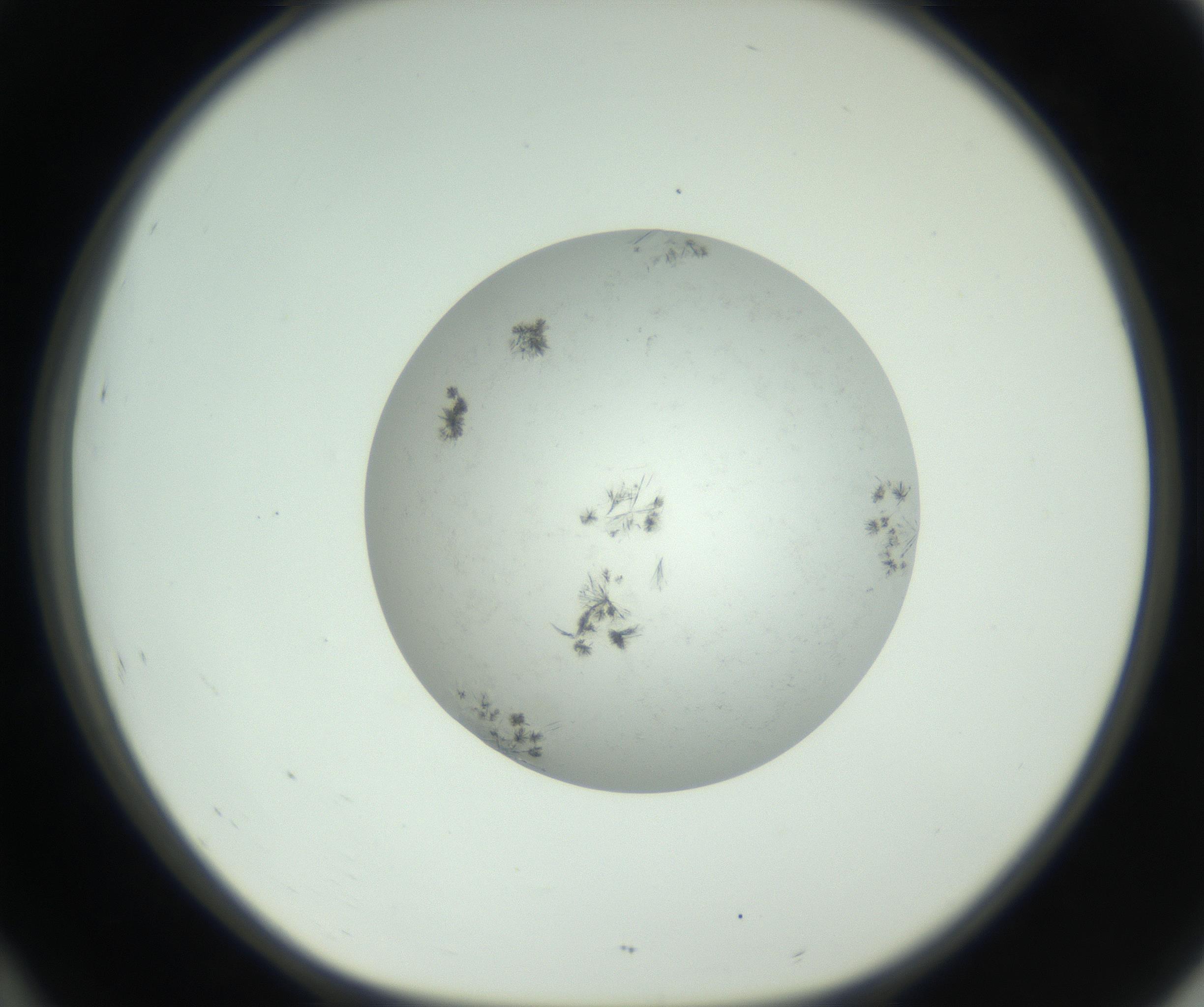 RI01_03_000_0212_Proj1_Clon1_MC_0000MC102779_002_160929_10_04_01_00_99_002_001_RAI.jpg