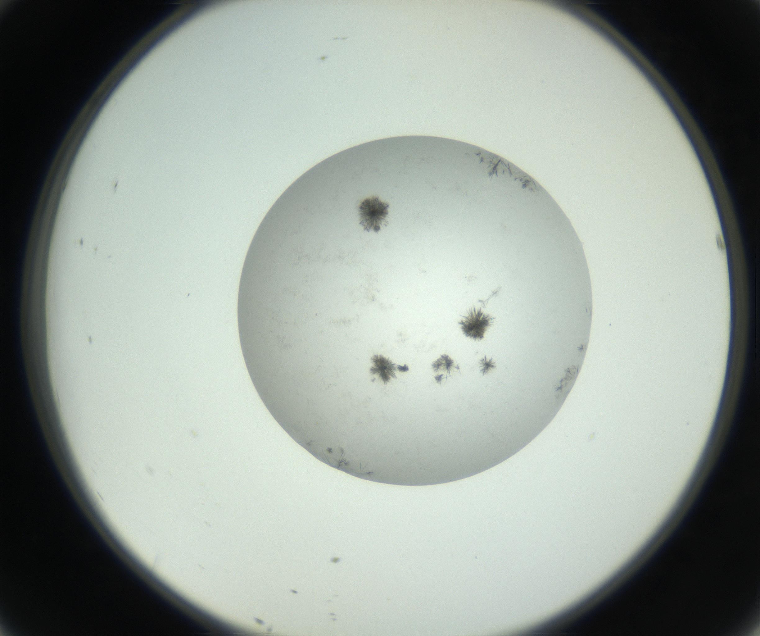 RI01_03_000_0212_Proj1_Clon1_MC_0000MC102779_002_160929_10_04_02_00_99_002_001_RAI.jpg