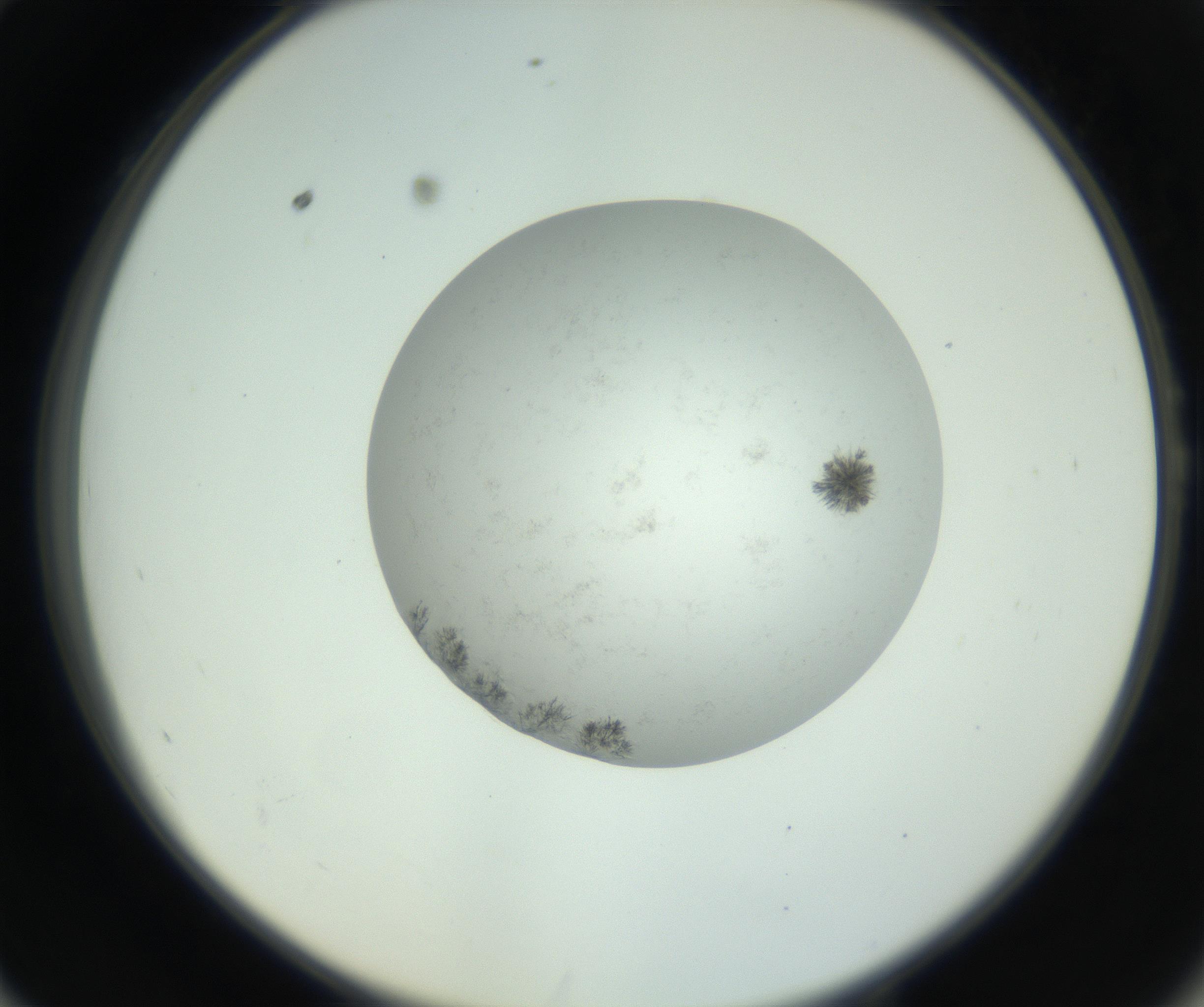 RI01_03_000_0212_Proj1_Clon1_MC_0000MC102779_002_160929_10_05_02_00_99_002_001_RAI.jpg