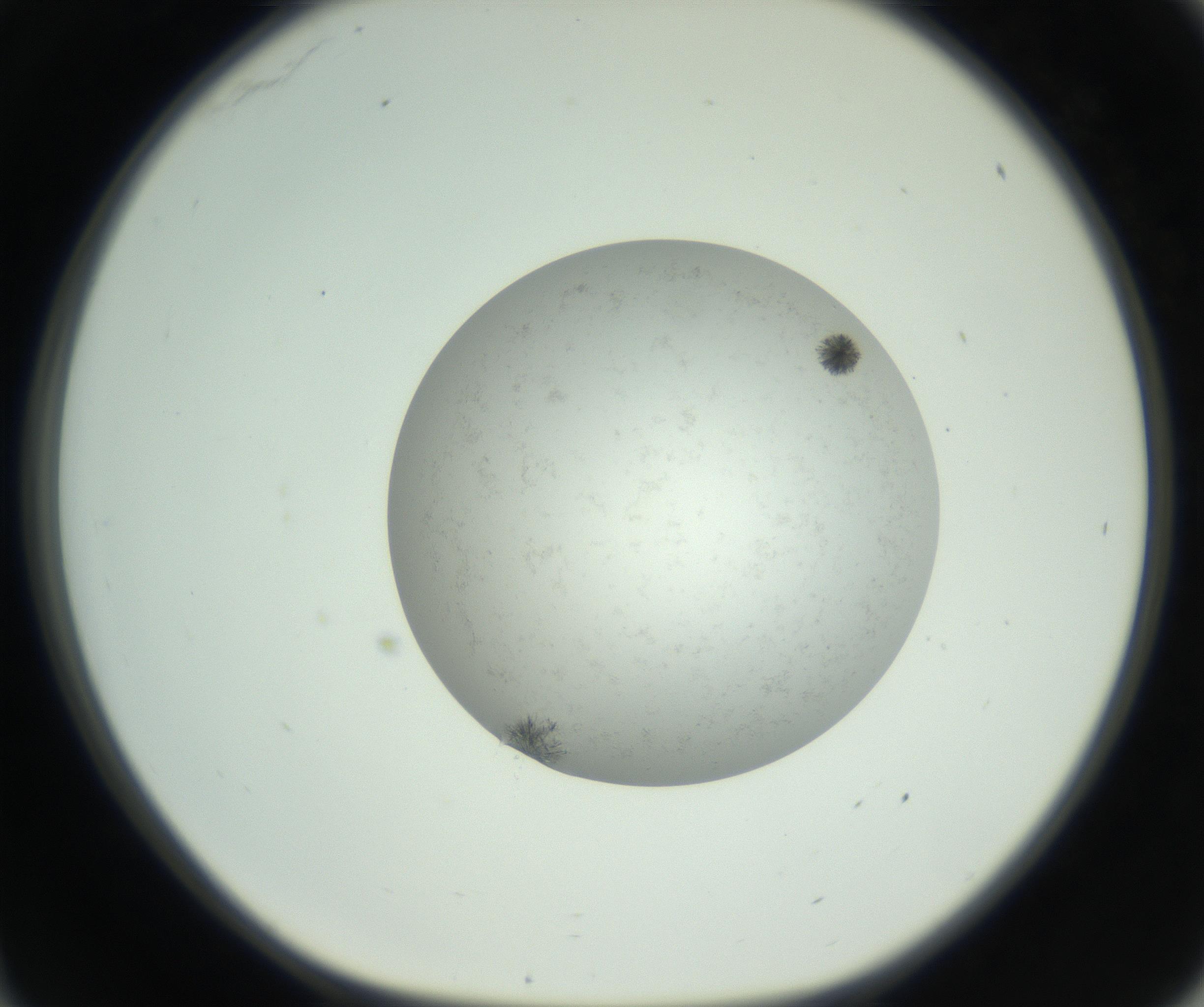 RI01_03_000_0212_Proj1_Clon1_MC_0000MC102779_002_160929_11_03_01_00_99_002_001_RAI.jpg