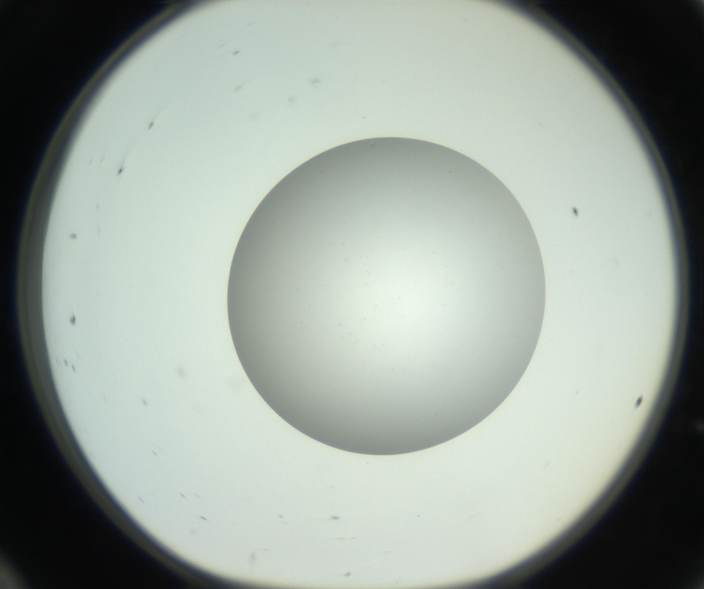 RI01_03_000_0212_Proj1_Clon1_MC_0000MC102779_002_160929_12_02_01_00_99_002_001_RAI.jpg