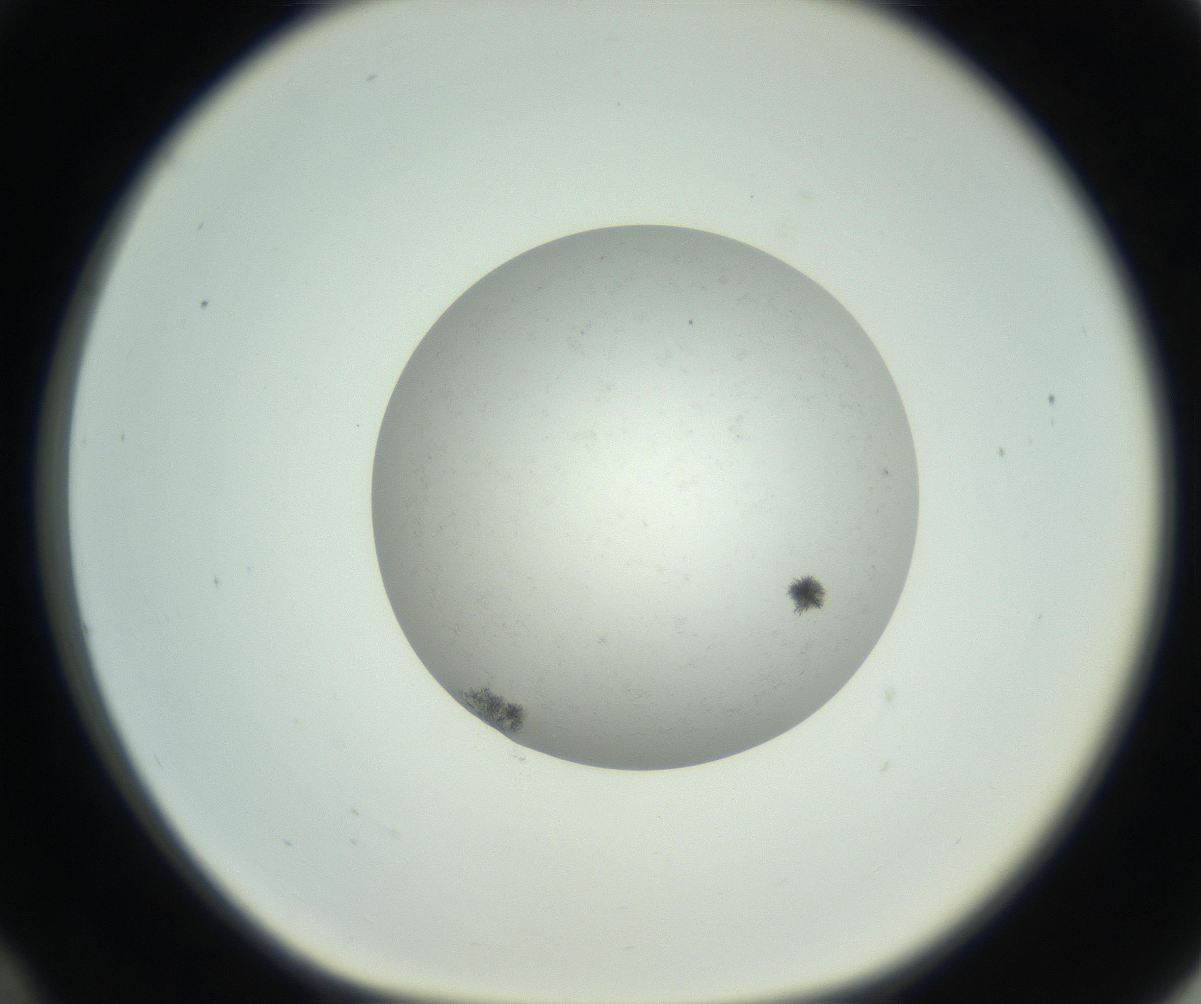 RI01_03_000_0212_Proj1_Clon1_MC_0000MC102779_002_160929_12_03_01_00_99_002_001_RAI.jpg